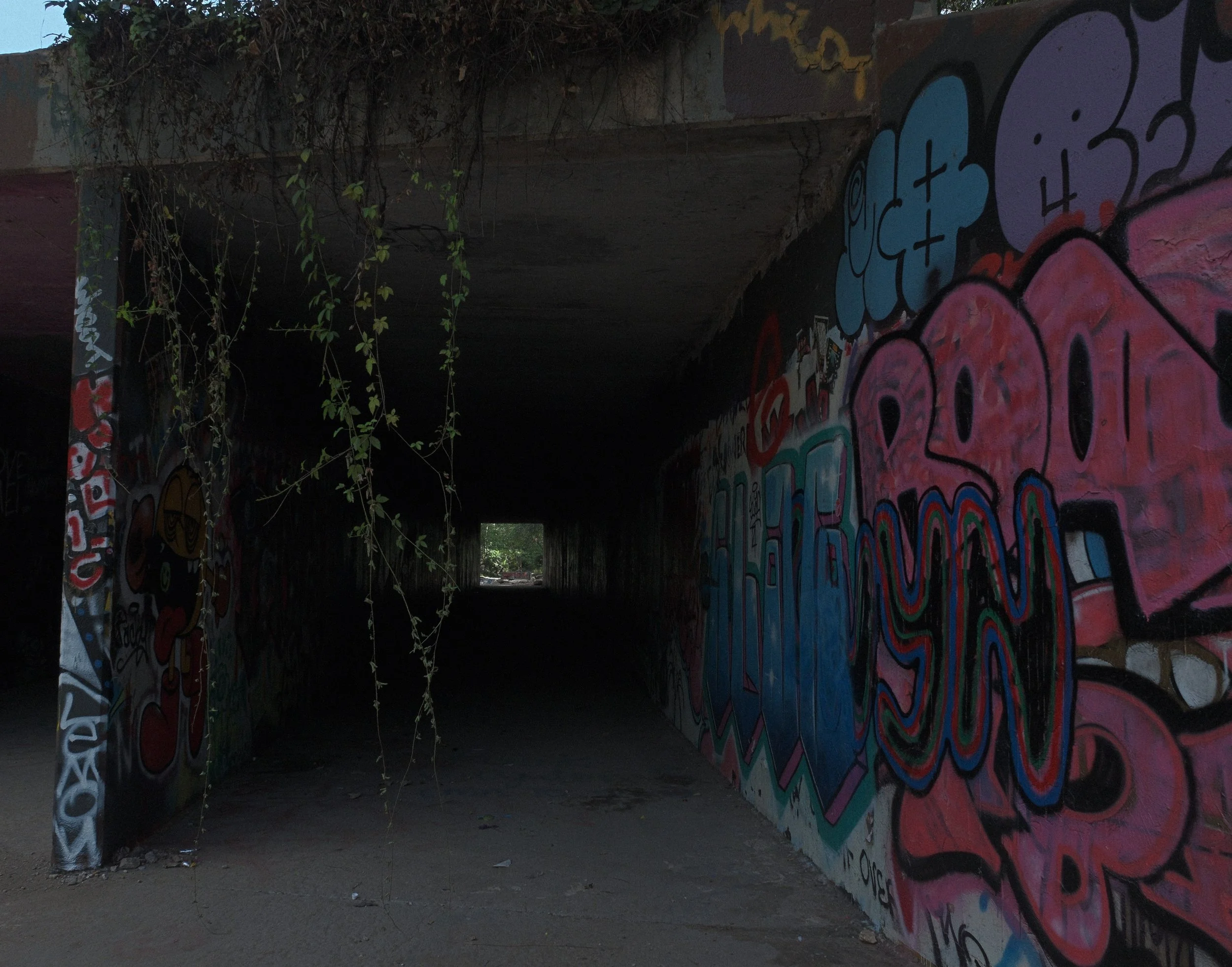 An urban underpass or tunnel covered in colorful graffiti art with vines hanging from the top, and natural light visible at the far end.