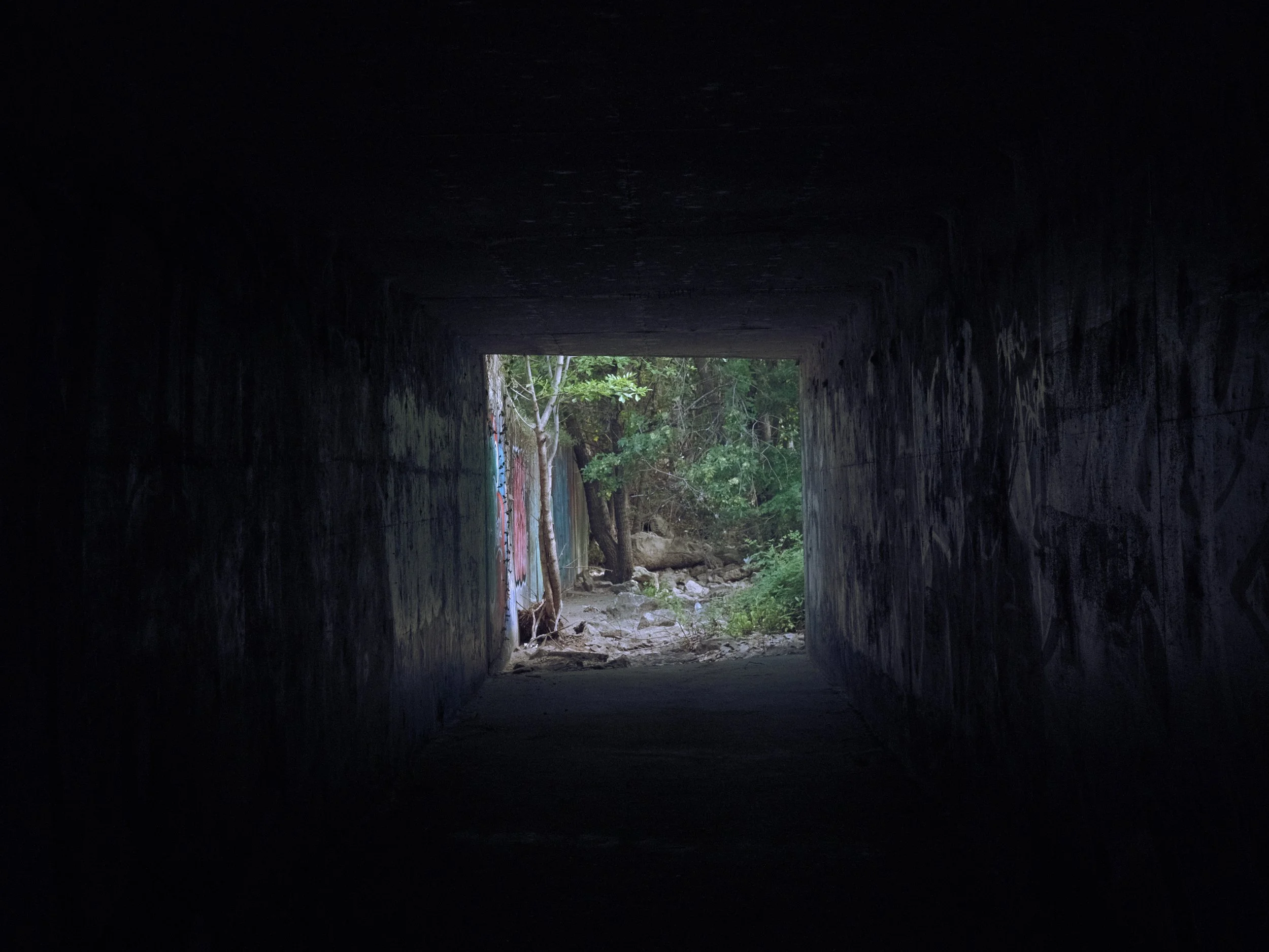 View from inside a dark tunnel looking out onto a sunny, forested area with trees and rocks.