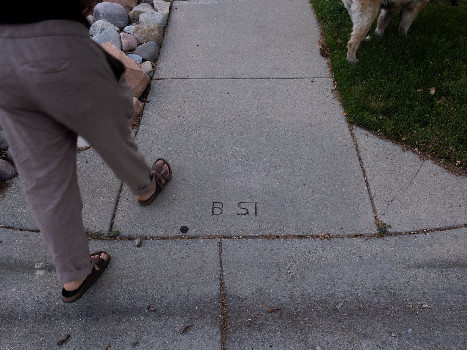 movingout-6.jpg