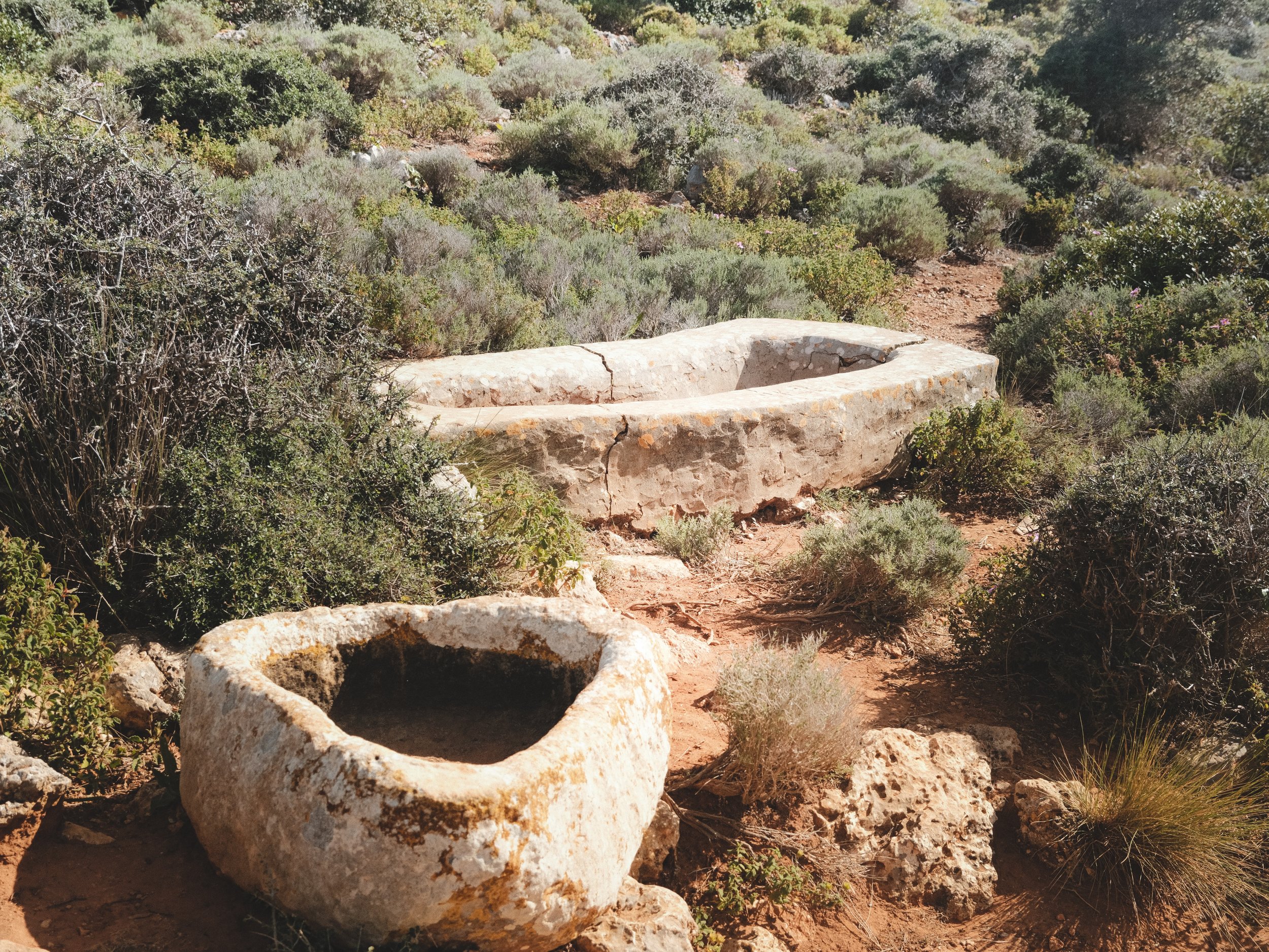 A desert landscape with dry, reddish-brown soil, scattered green bushes, and a stone trough in the foreground.