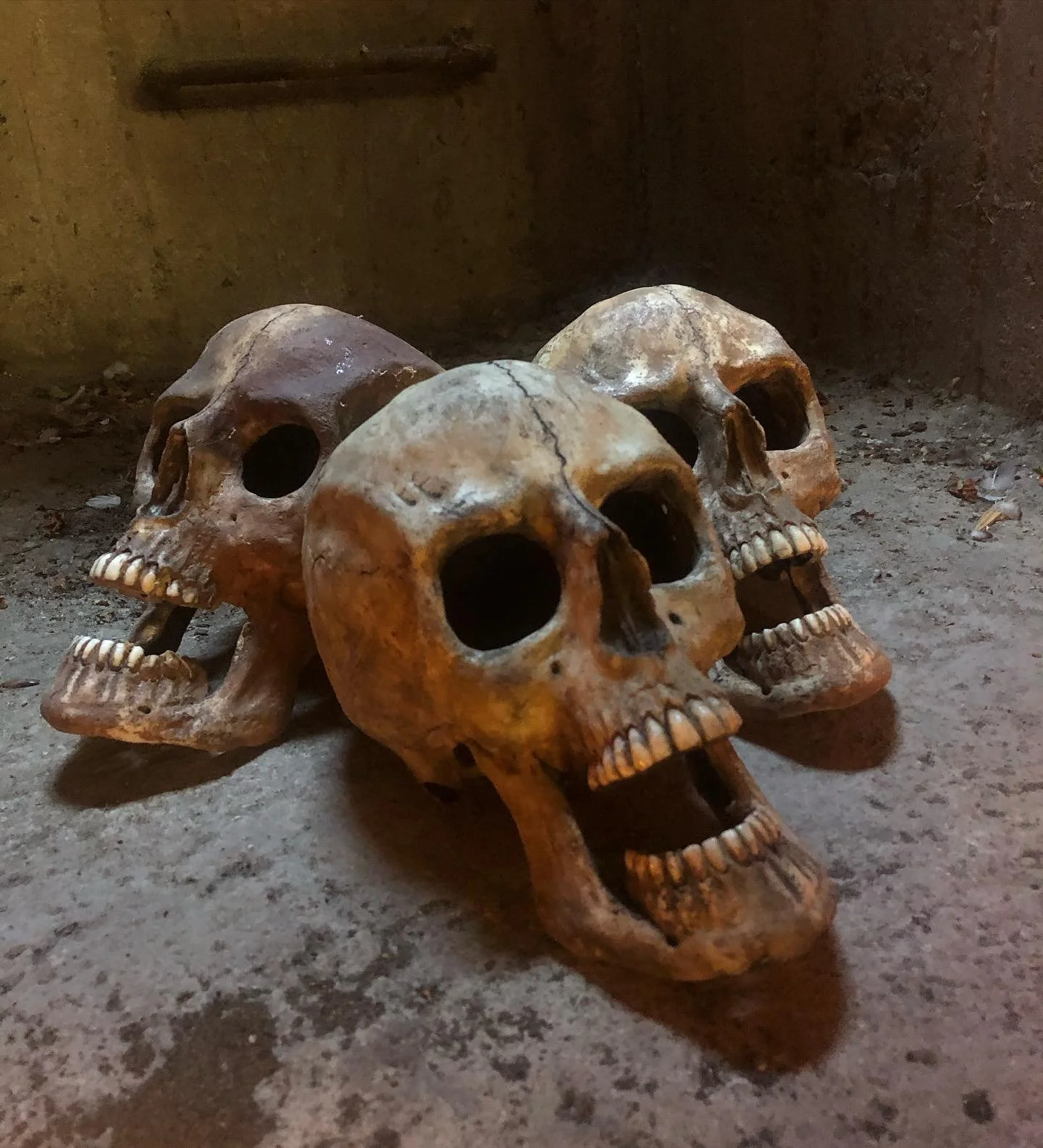 &bull; SKULL &bull; 
Sculpted, cast &amp; painted skulls that I made in 2021. Bizarre how fast time flies. 

#skull #skullsculpture #sfxmakeup #maskenbildner