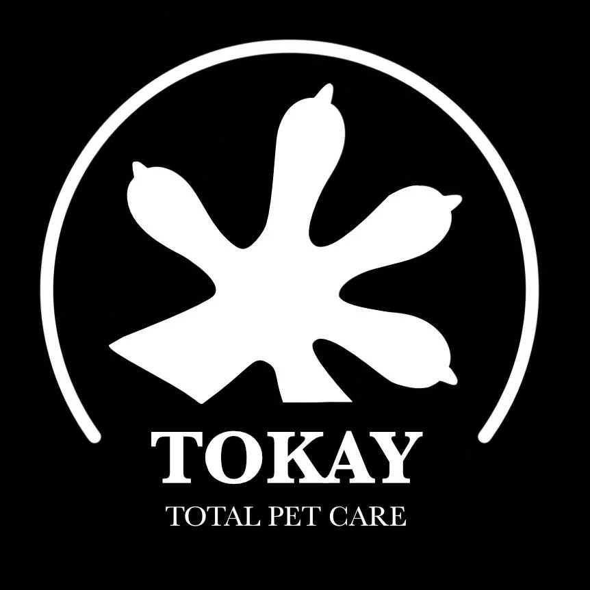 👋 ATTENTION PET PARENTS OF VANCOUVER!

Leaving town shouldn&rsquo;t mean stressing about your beloved pet(s). While there is no shortage of services tailored for standard pets, like your cat/dog, there are very few who have the skill and knowledge n