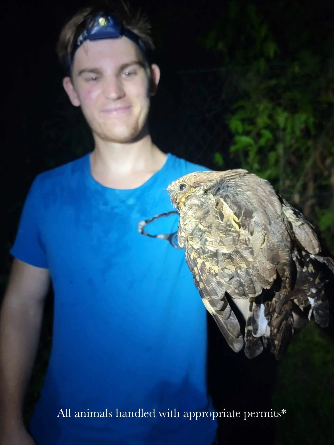 Meet the Owner! 

As a former zookeeper and wildlife technician, Griffyn has experience caring for wild and exotic species all across the world! From the jungles of Belize to his own collection of pets, he has worked with just about every group of an