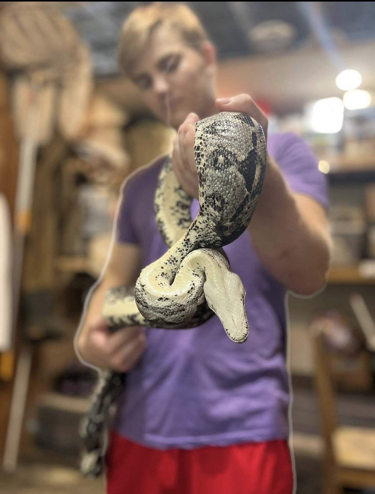 Person holding a snake indoors, with shelves and storage items in the background.