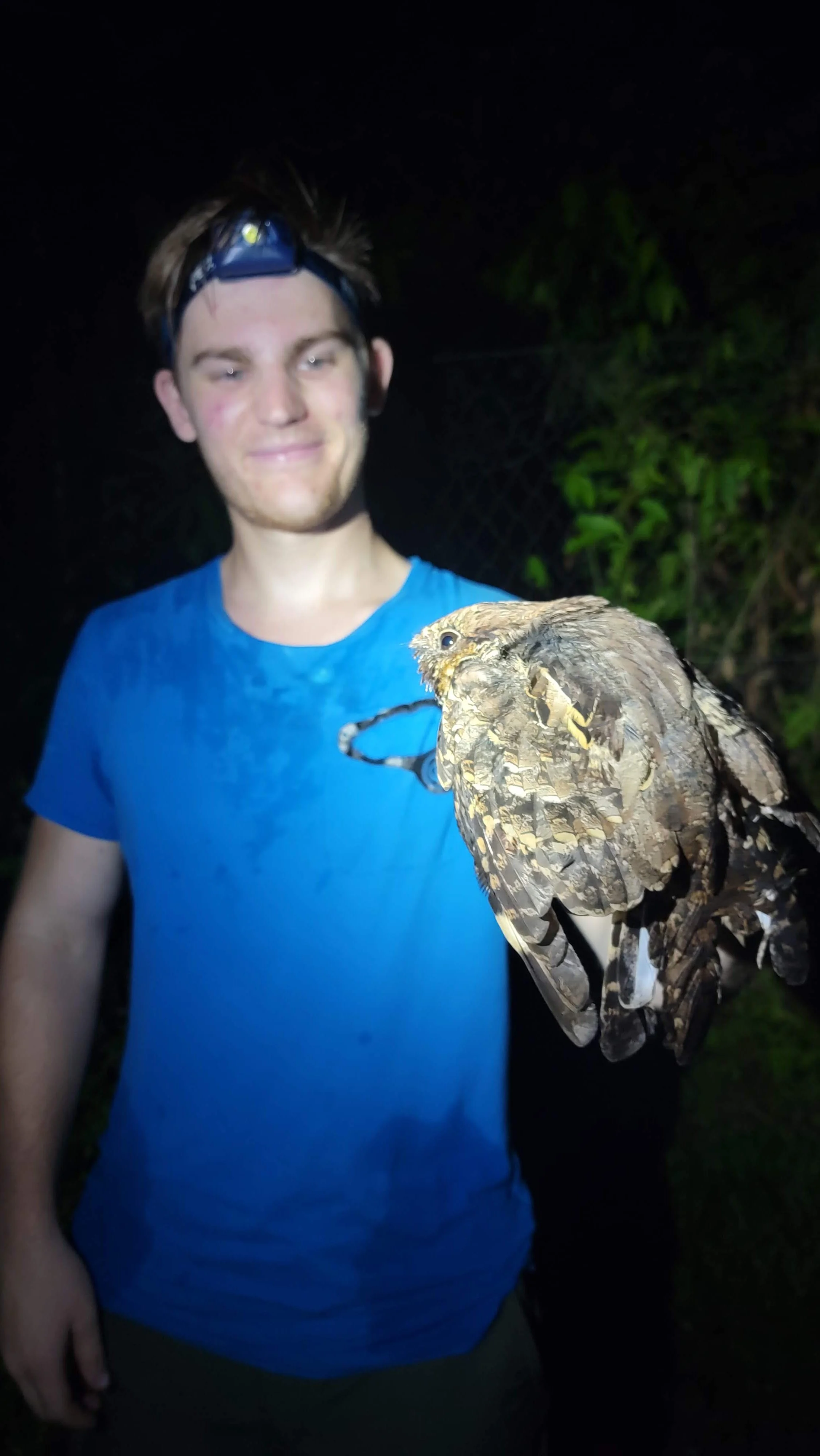 A young man in a blue t-shirt holding a large owl on his arm at night outdoors.