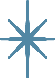 A blue snowflake with eight points and a symmetrical design on a white background.
