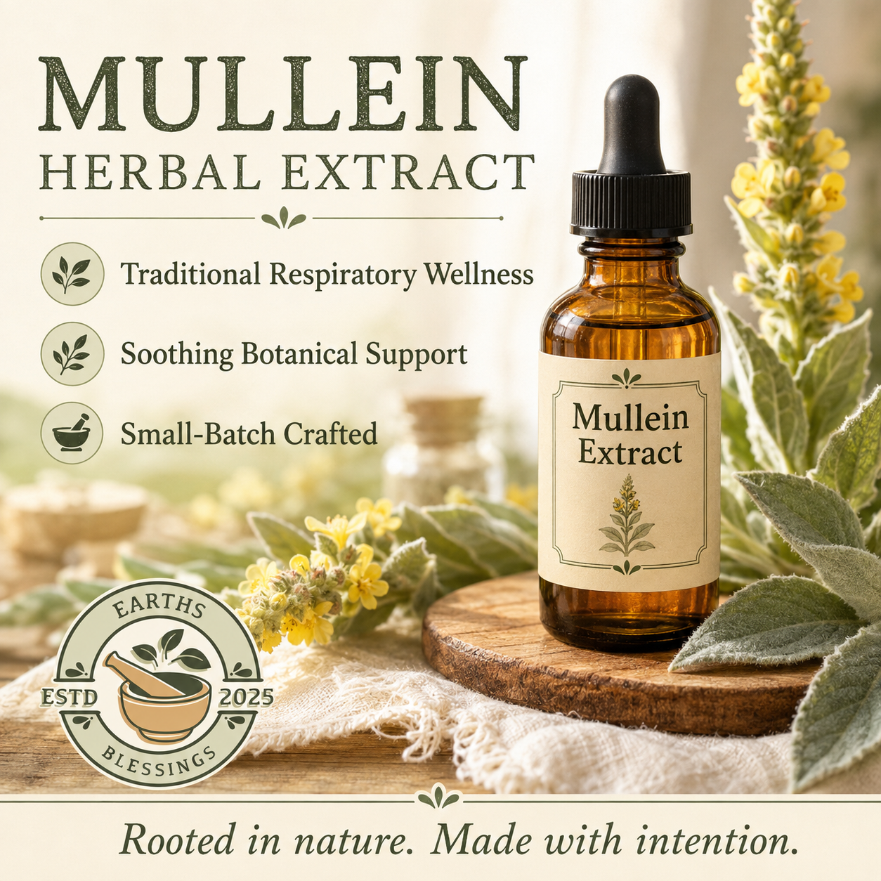 Mullein Extract