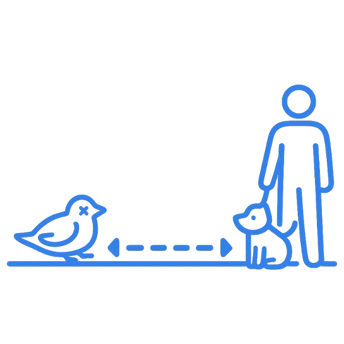 A person holding a dog on a leash standing near a bird, with the bird and dog separated by a dotted line indicating social distancing.