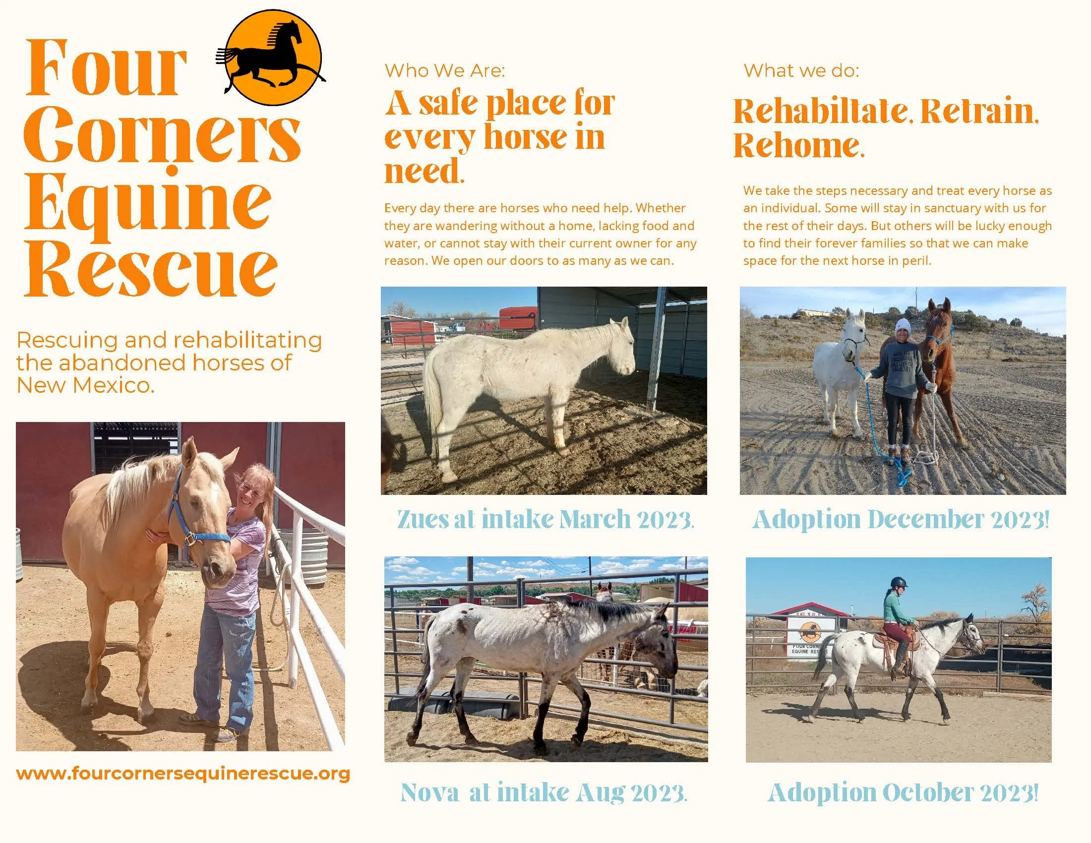 Collage of photos showing horses and people at Four Corners Equine Rescue. Various horses are seen with volunteers in outdoor pens and on horseback, with text about the rescue organization, its mission, and adoption and intake dates.
