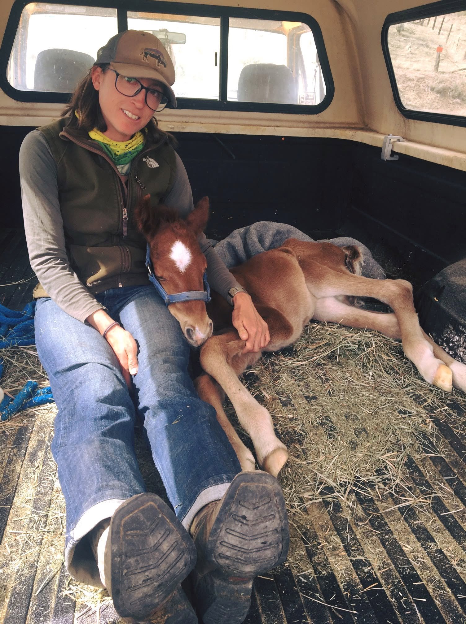 A woman with glasses and a cap sitting in the back of a truck bed with a newborn foal lying next to her on straw and looking relaxed.
