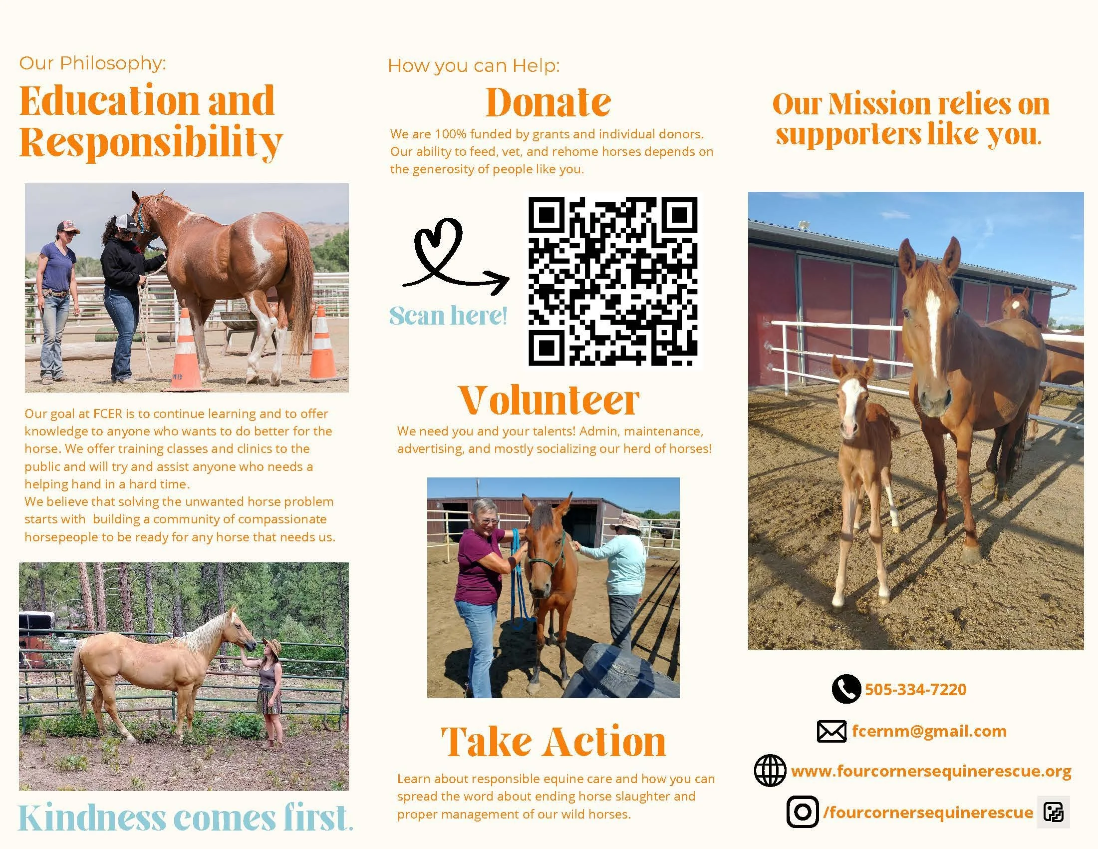A flyer for a horses rescue organization titled "Education and Responsibility" with photos of horses and volunteers, including a woman grooming a chestnut horse, a woman and a child with a palomino horse, and a foal in a pen. The flyer includes donat