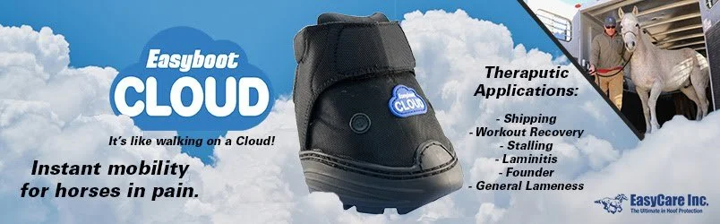 Advertisement for Easyboot Cloud horse hoof boot, featuring a black boot on a cloud background and a photo of a person riding a horse in a stall.