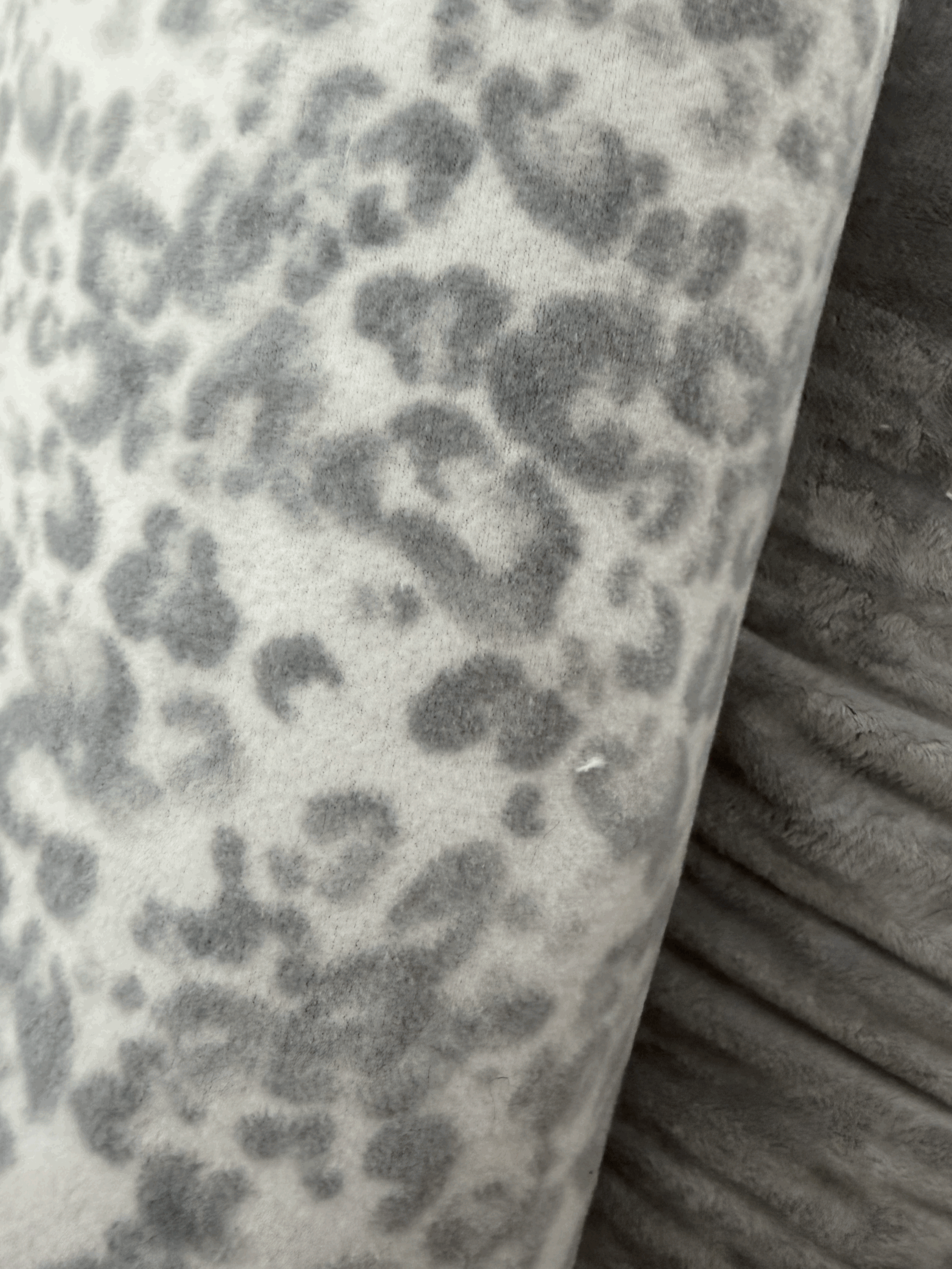 Frosted Leopard