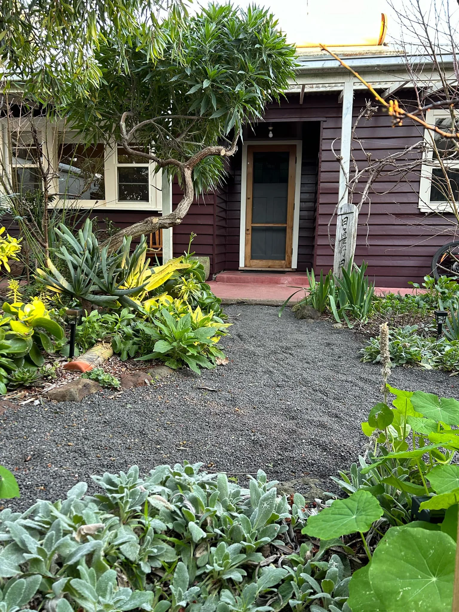 View of a garden path in front of a house, with various green plants and flowers on either side, and a red wooden house with white window frames and a screened door in the background.