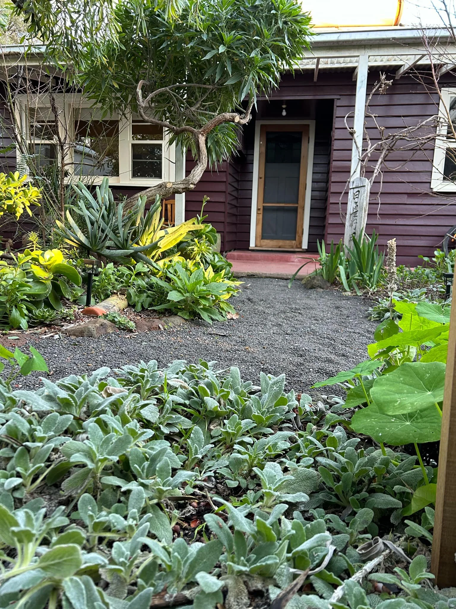A garden with various green plants and flowers in front of a wooden house with a door and window.