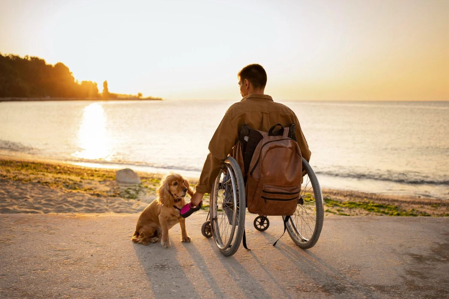 A man using a wheelchair on a beach at sunset with a puppy on a leash.