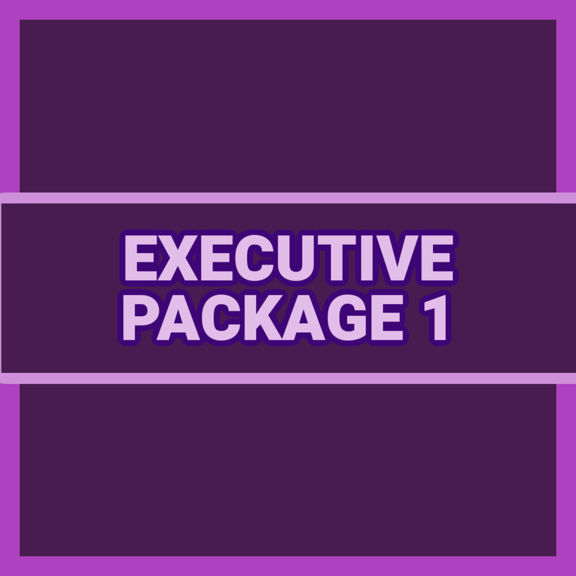 EXECUTIVE PACKAGE 1