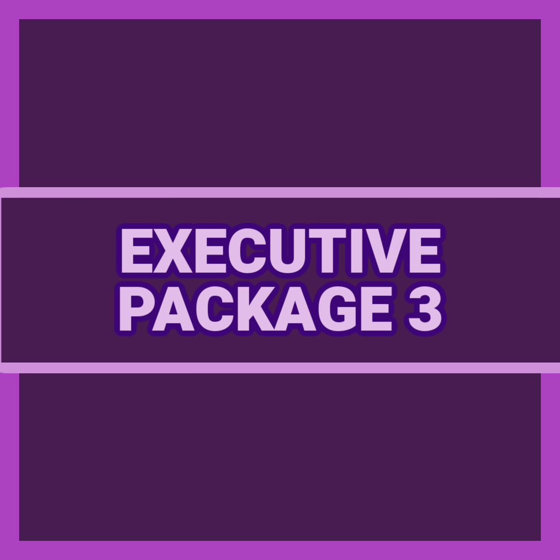 EXECUTIVE PACKAGE 3