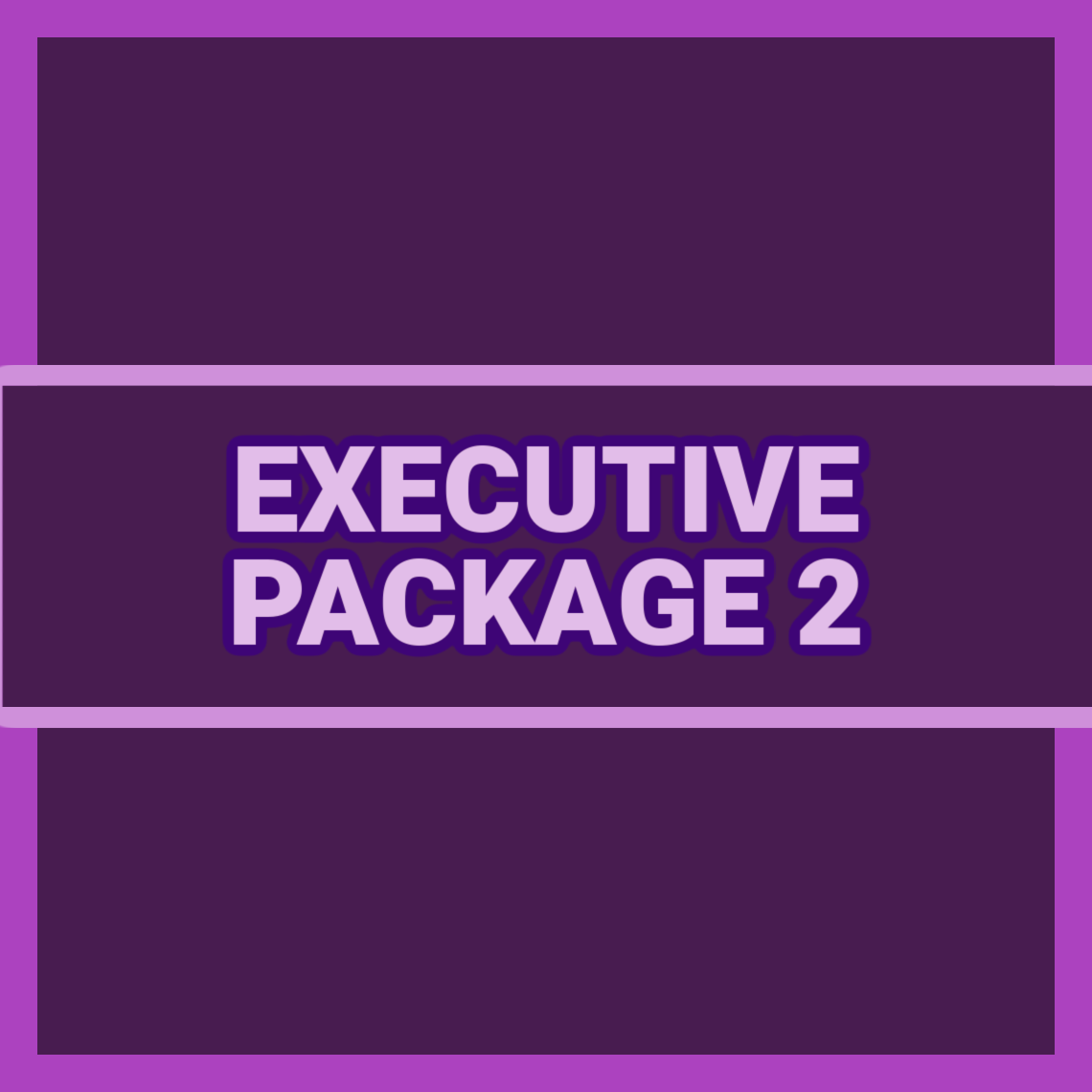 EXECUTIVE PACKAGE 2