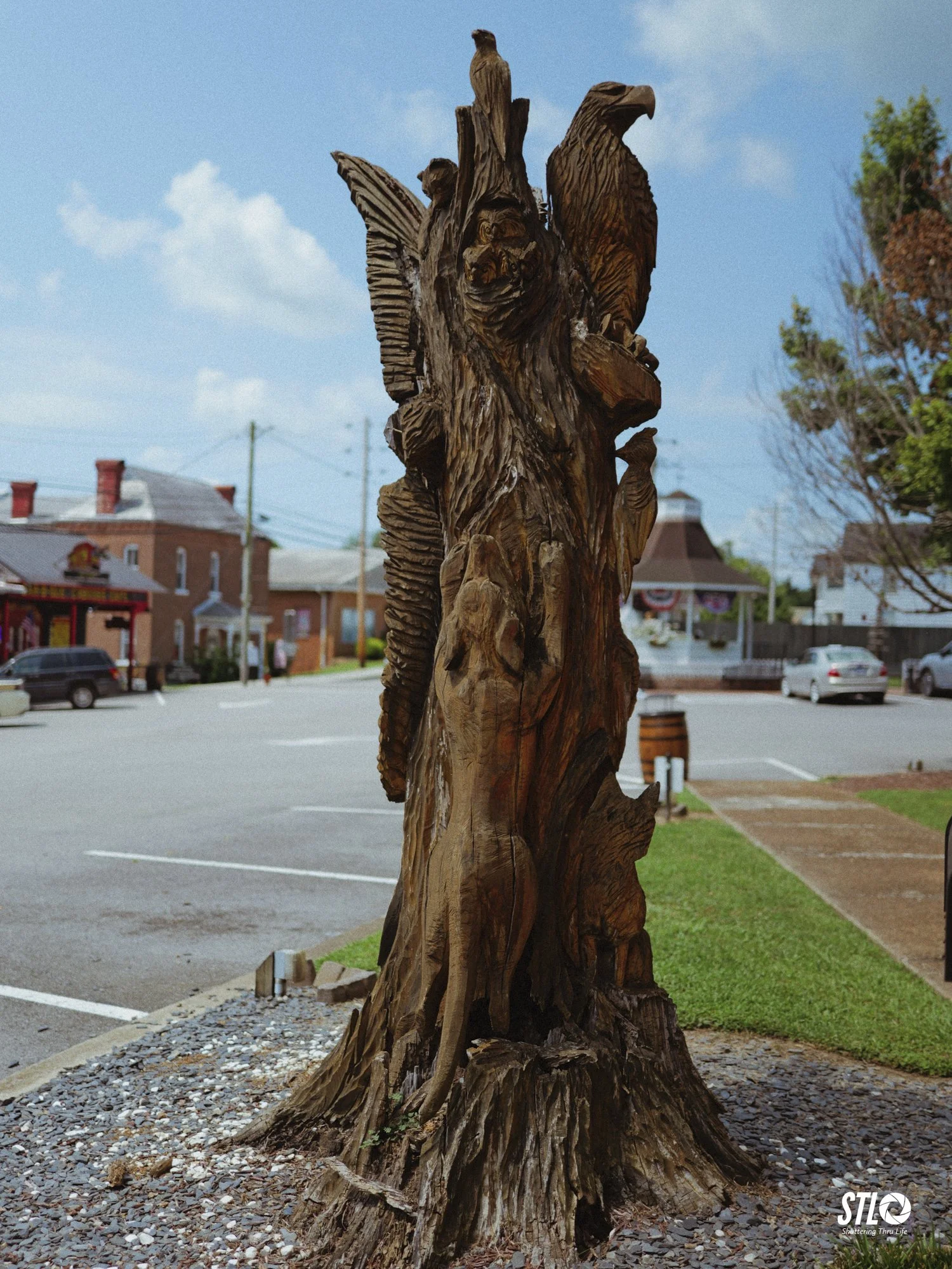P1202075-40.jpg