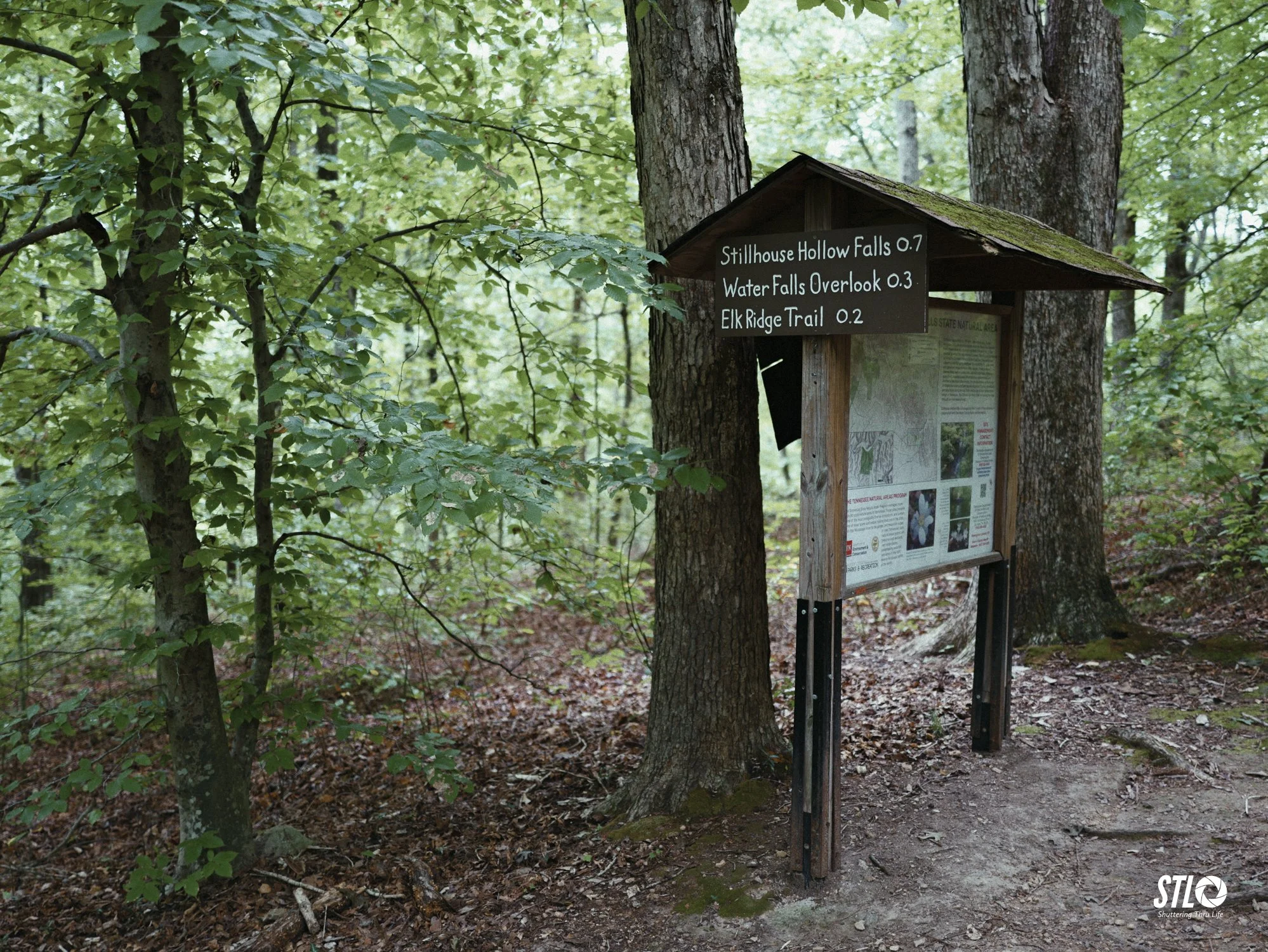 P1201901-1.jpg