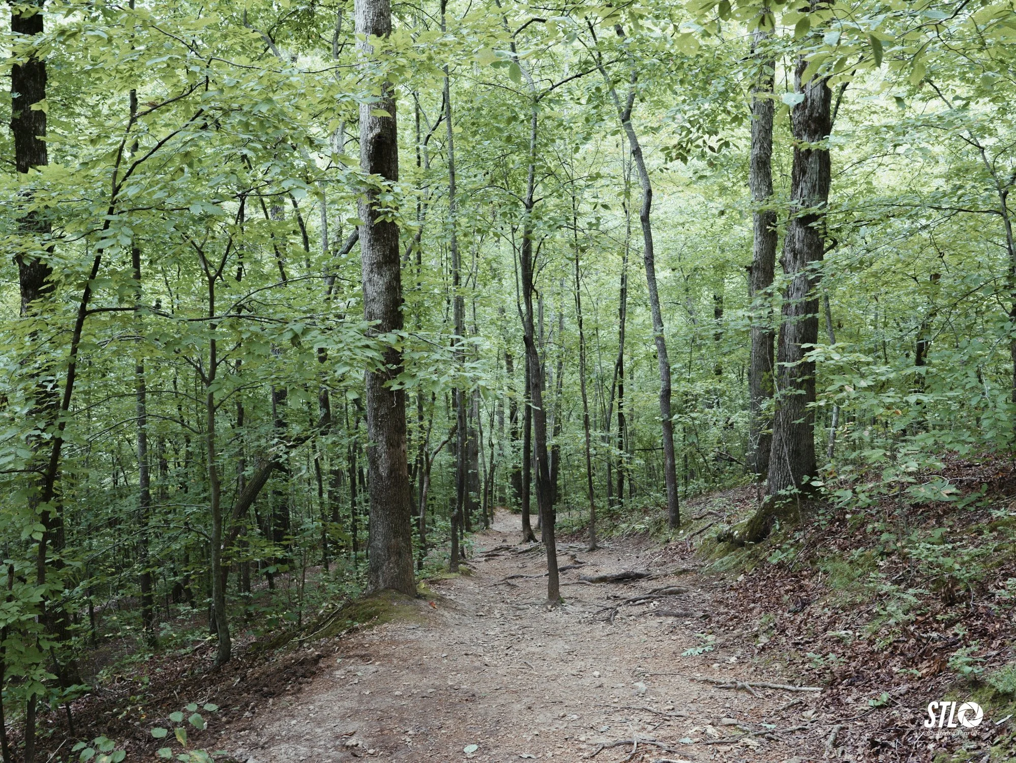 P1201902-2.jpg