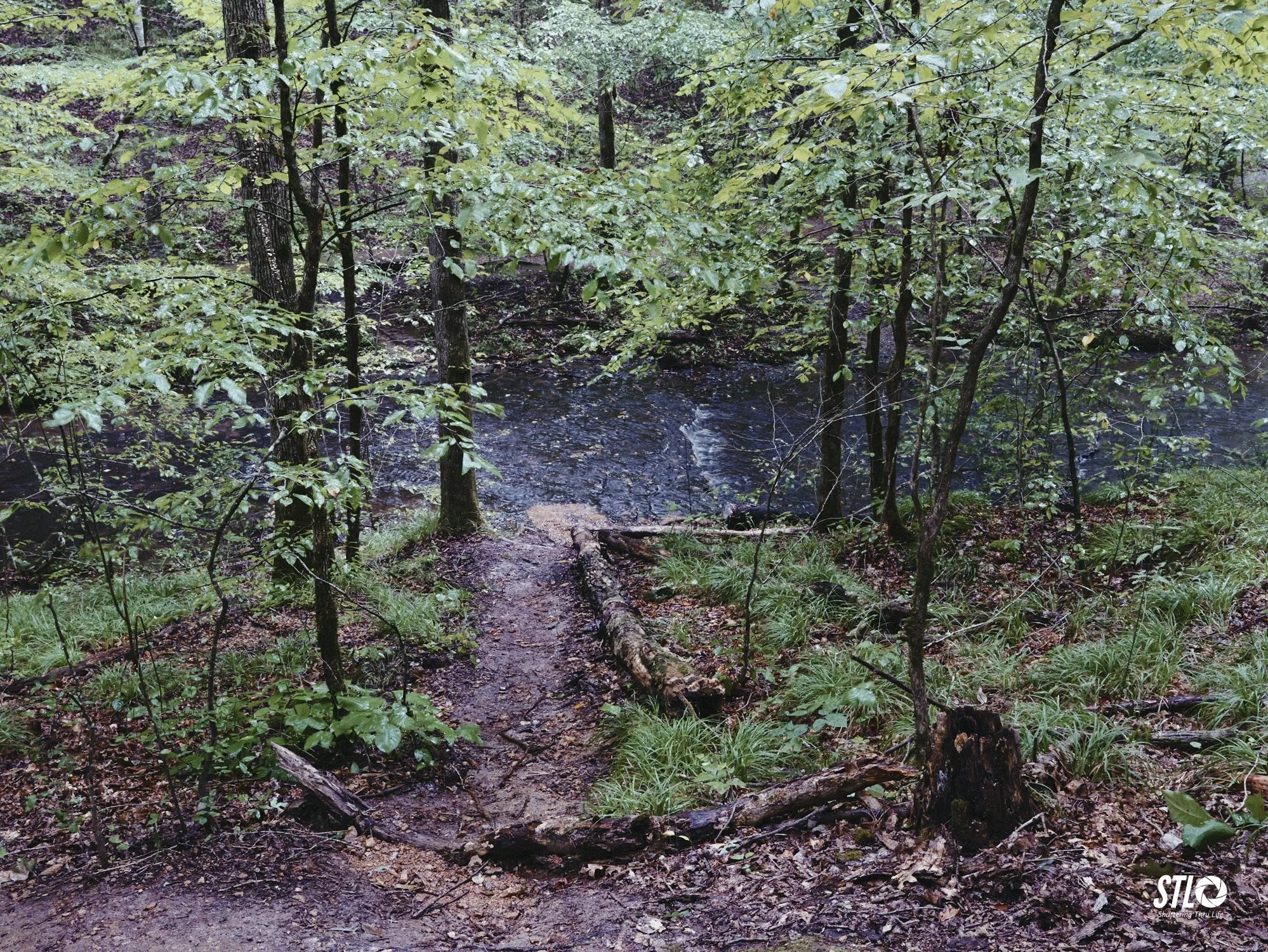 P1201910-3.jpg