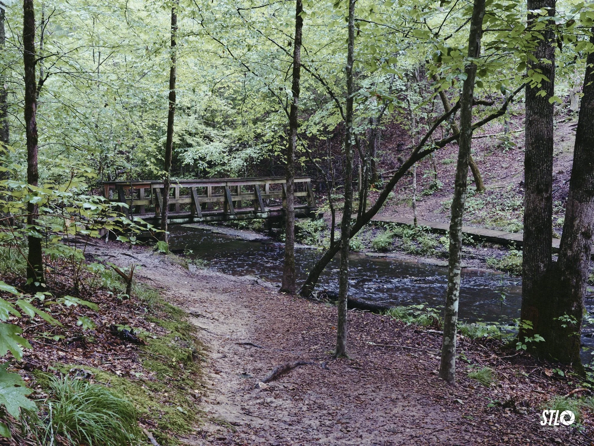 P1201911-4.jpg