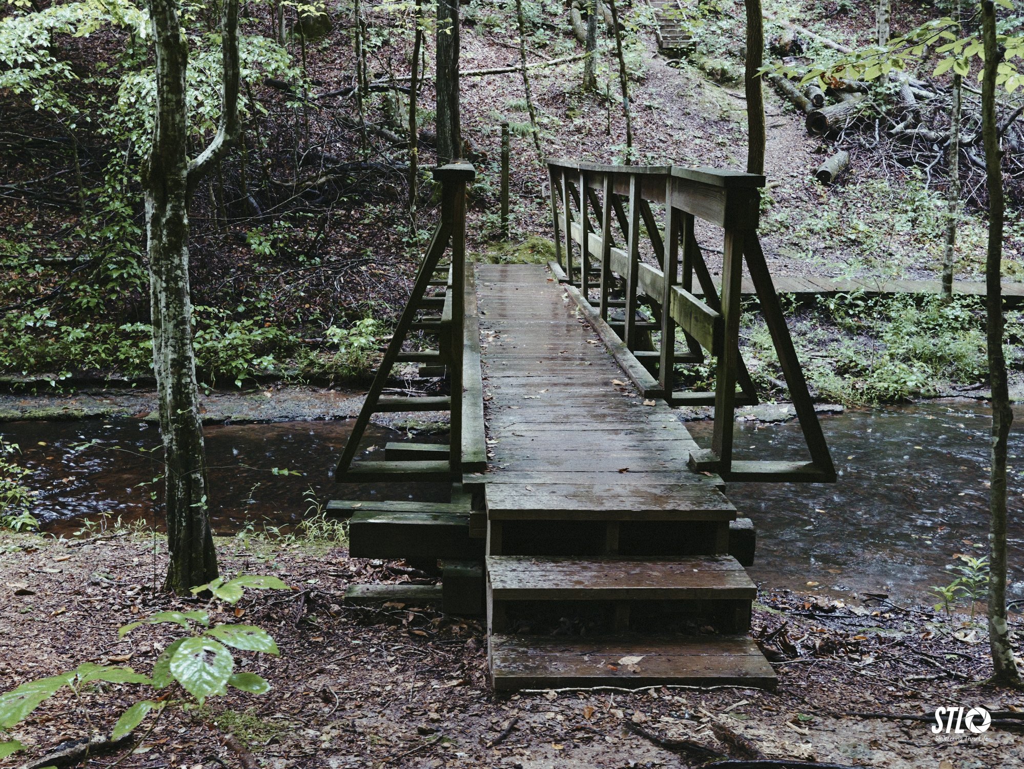 P1201913-5.jpg