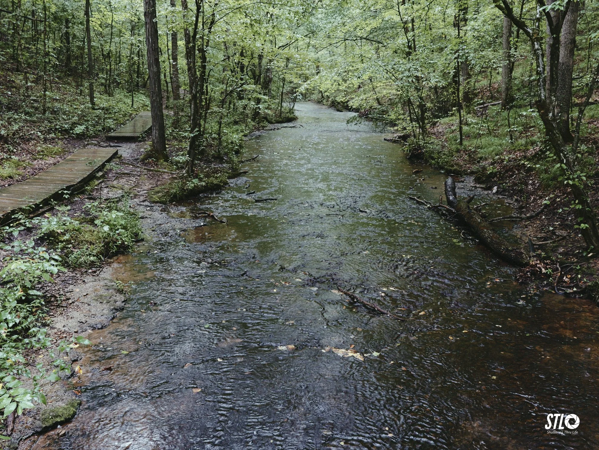 P1201914-6.jpg