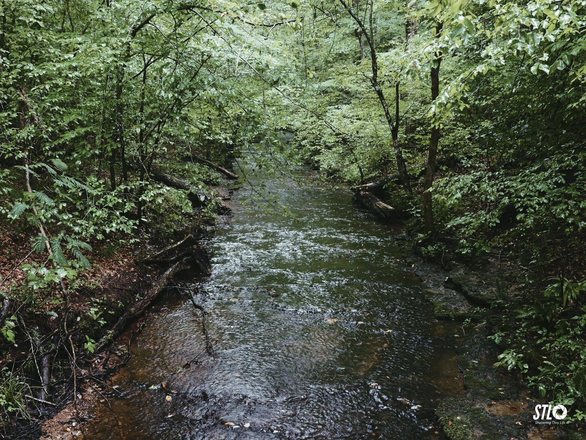 P1201915-7.jpg