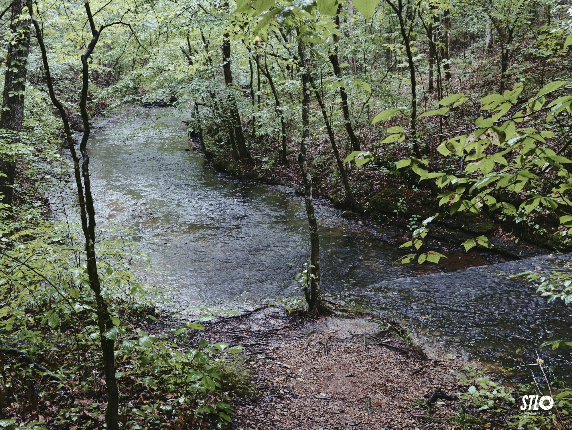 P1201916-8.jpg
