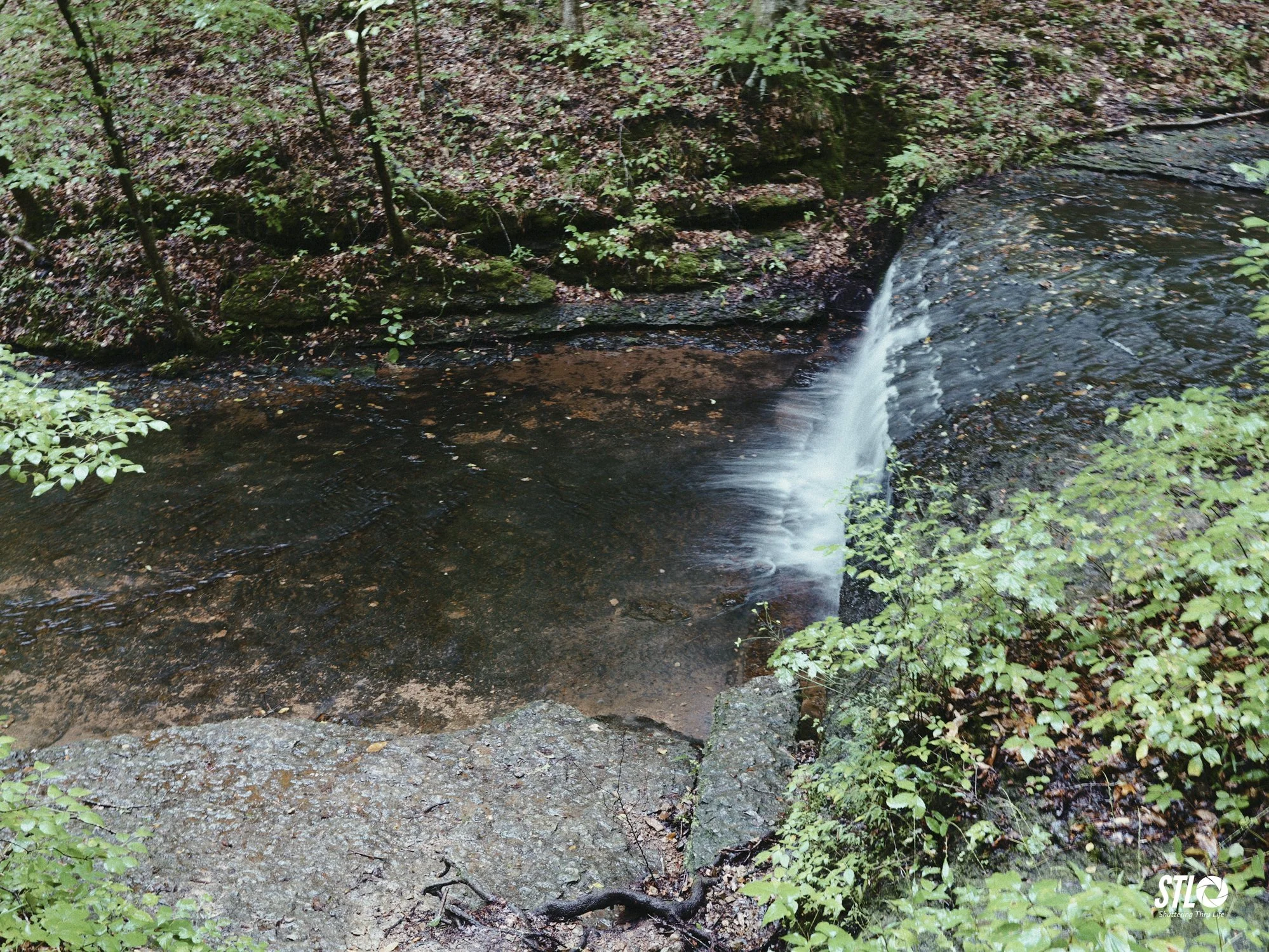 P1201920-10.jpg