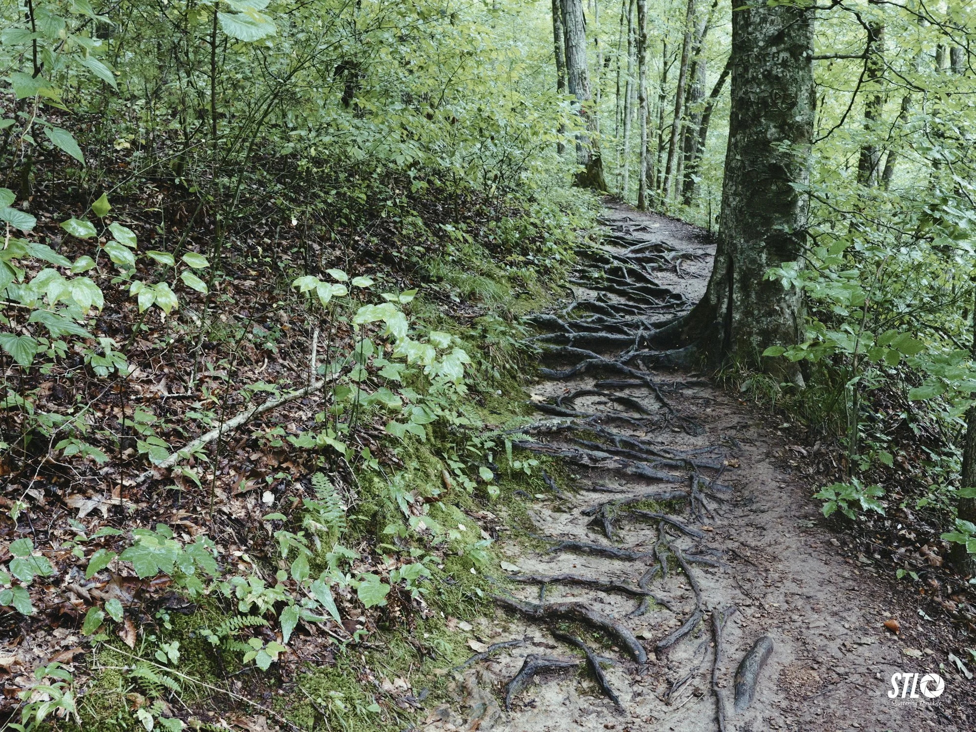 P1201937-15.jpg
