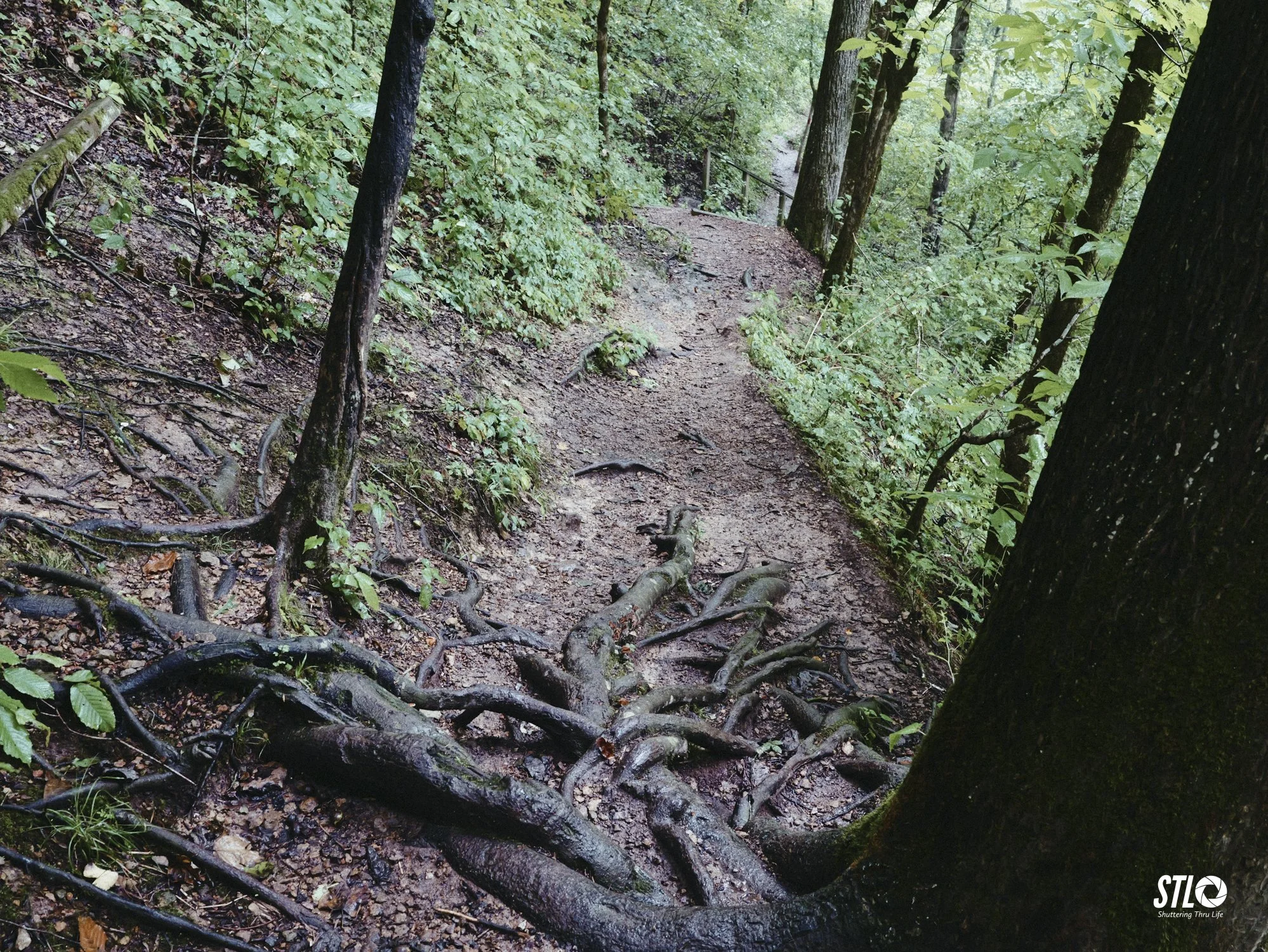 P1201939-17.jpg