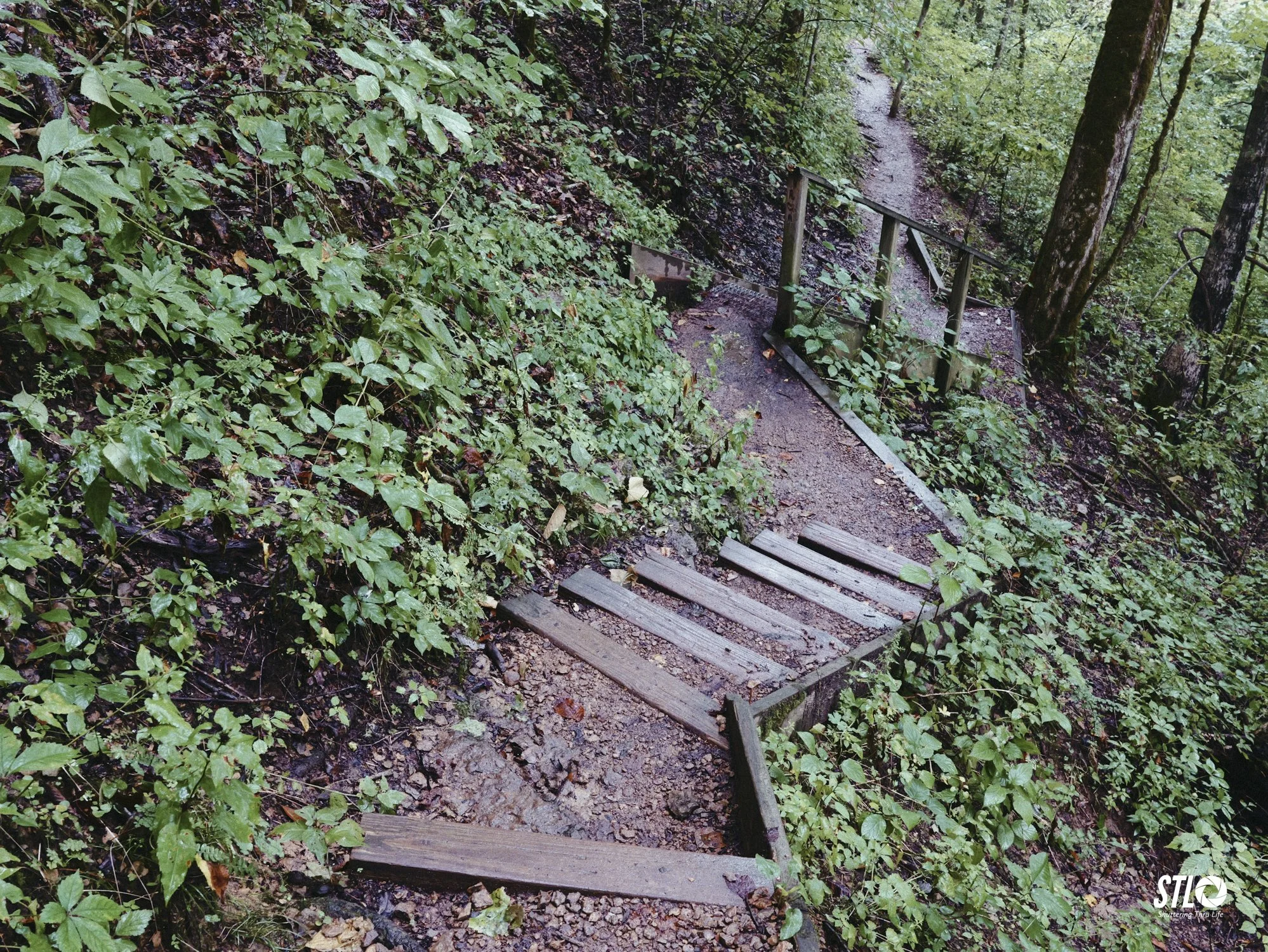 P1201940-18.jpg