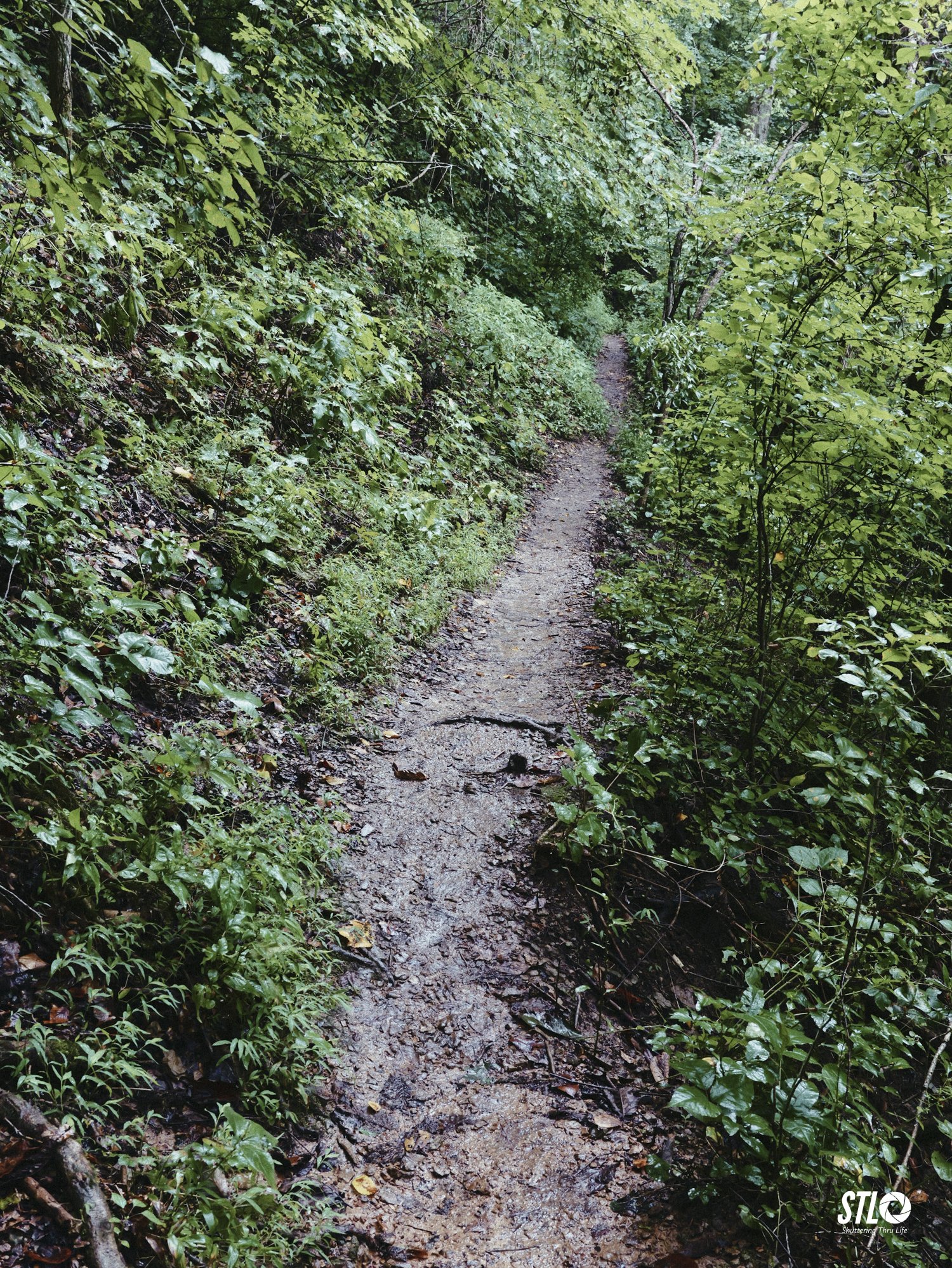 P1201941-19.jpg