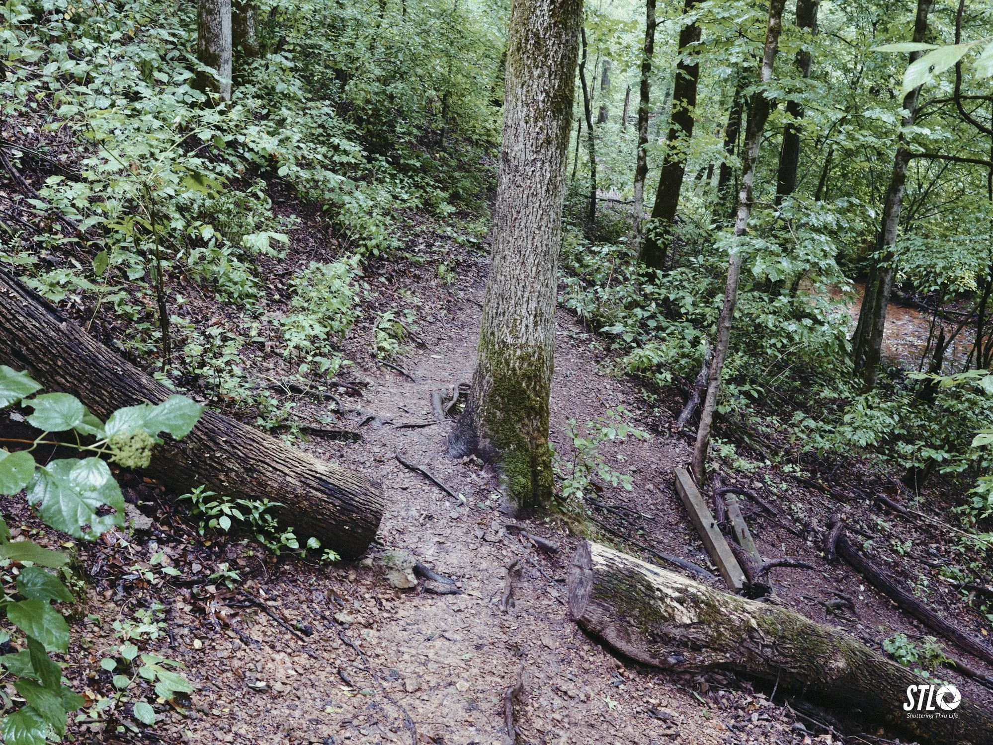P1201942-20.jpg