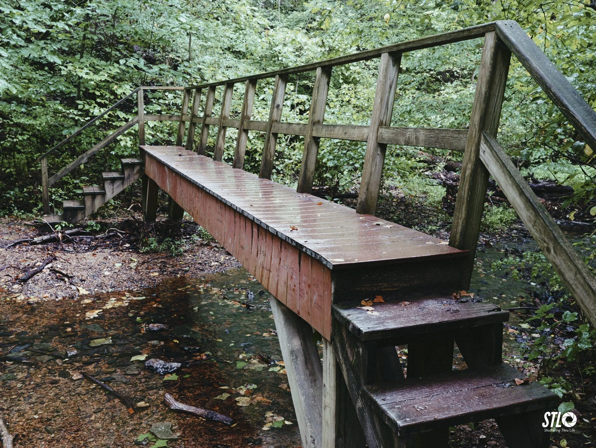 P1201945-21.jpg