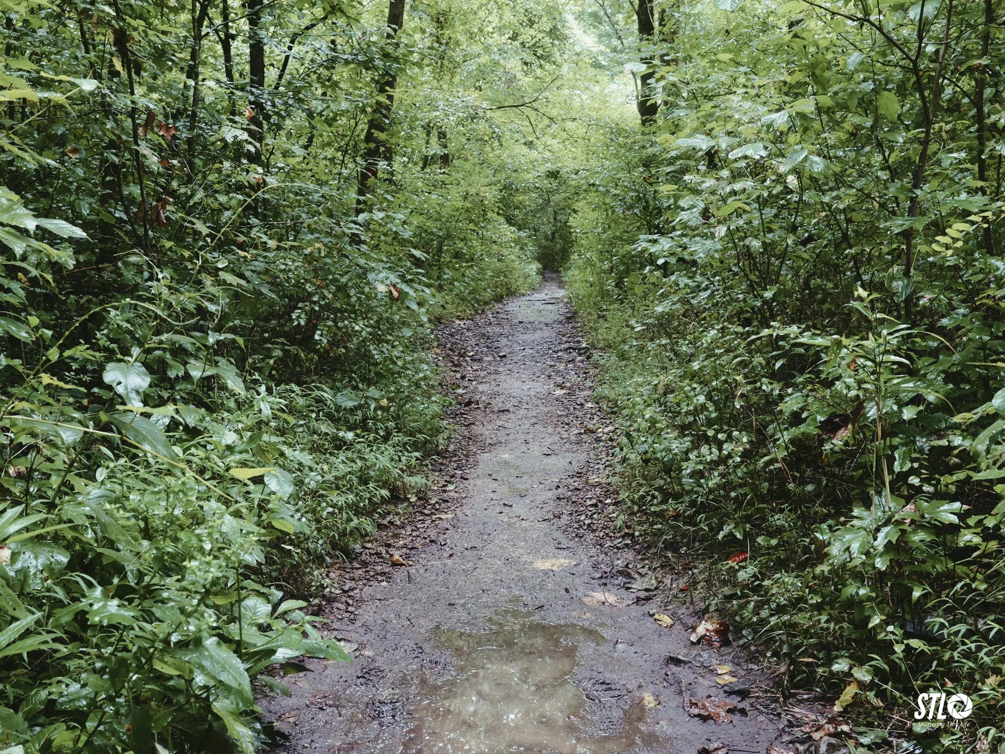 P1201948-23.jpg