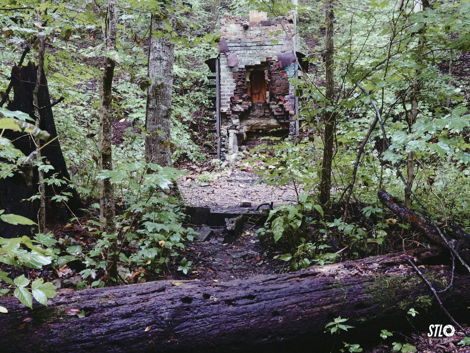 P1201949-24.jpg