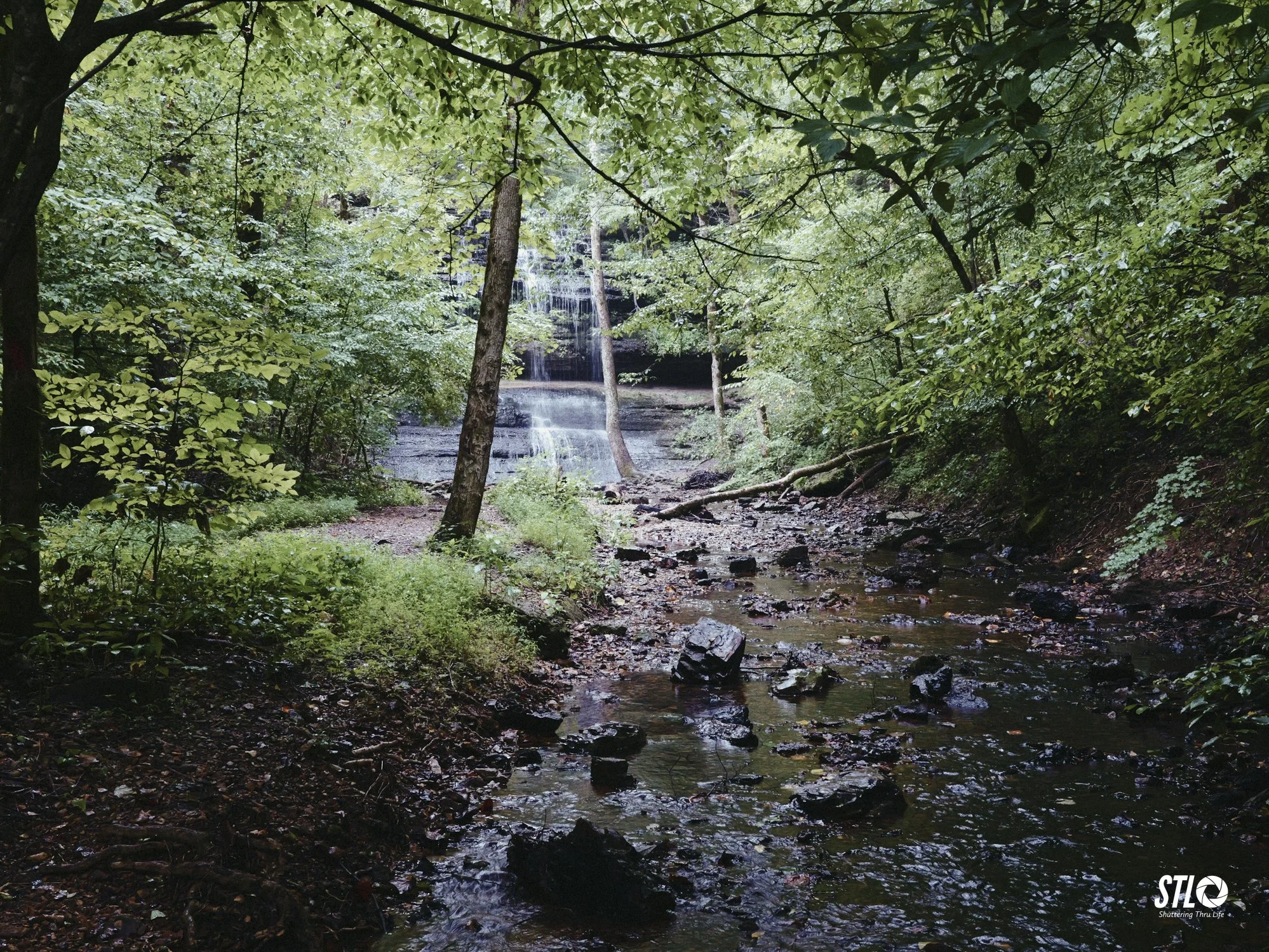 P1201950-25.jpg