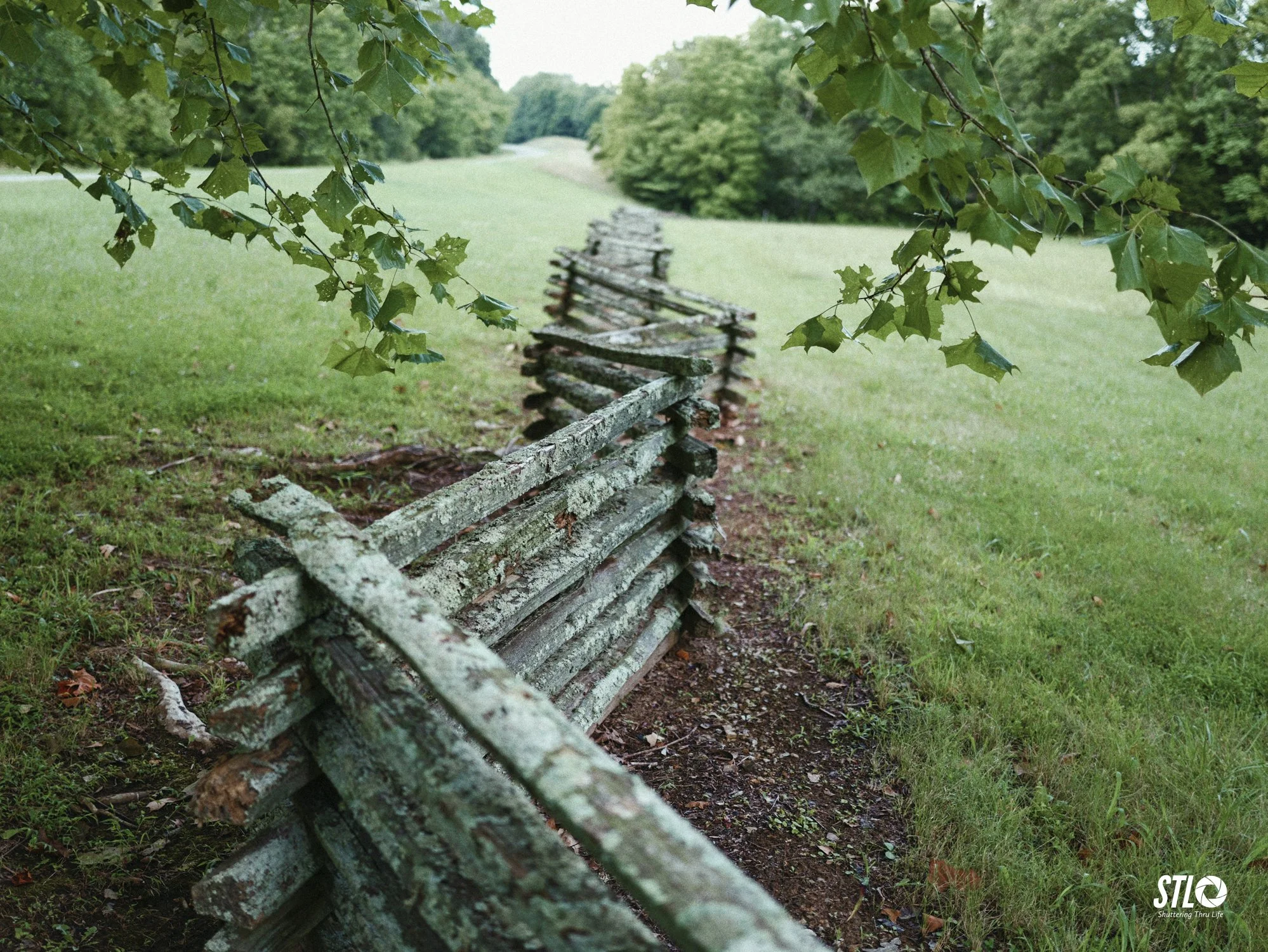 P1200284-6.jpg