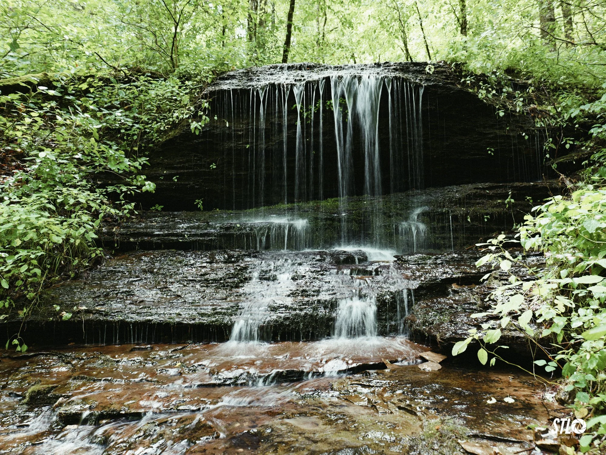 P1200317-13.jpg