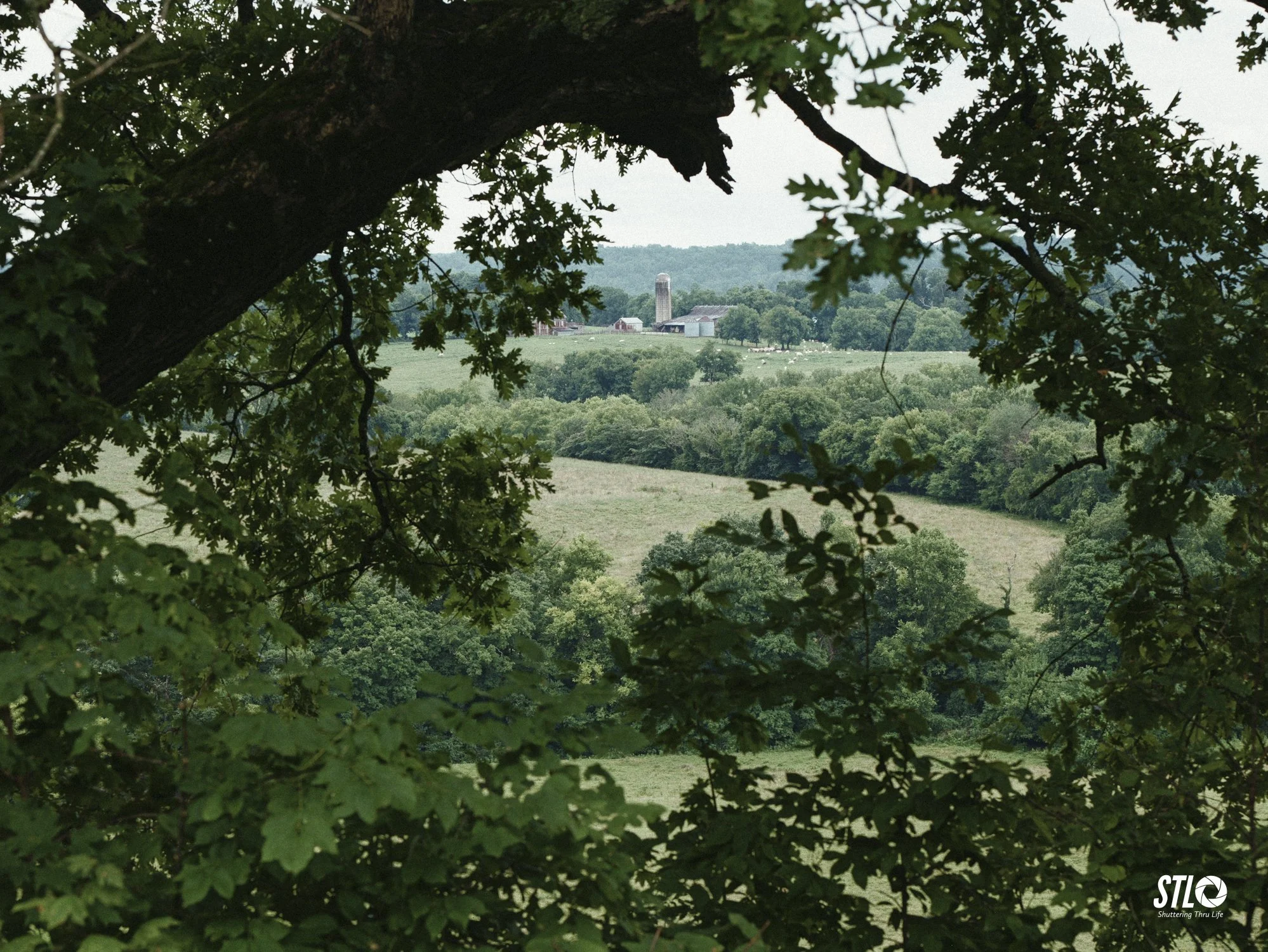 P1200238-1.jpg