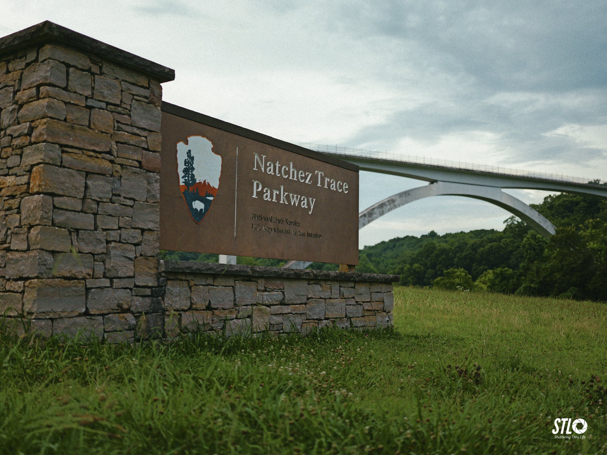 P1200285-7.jpg