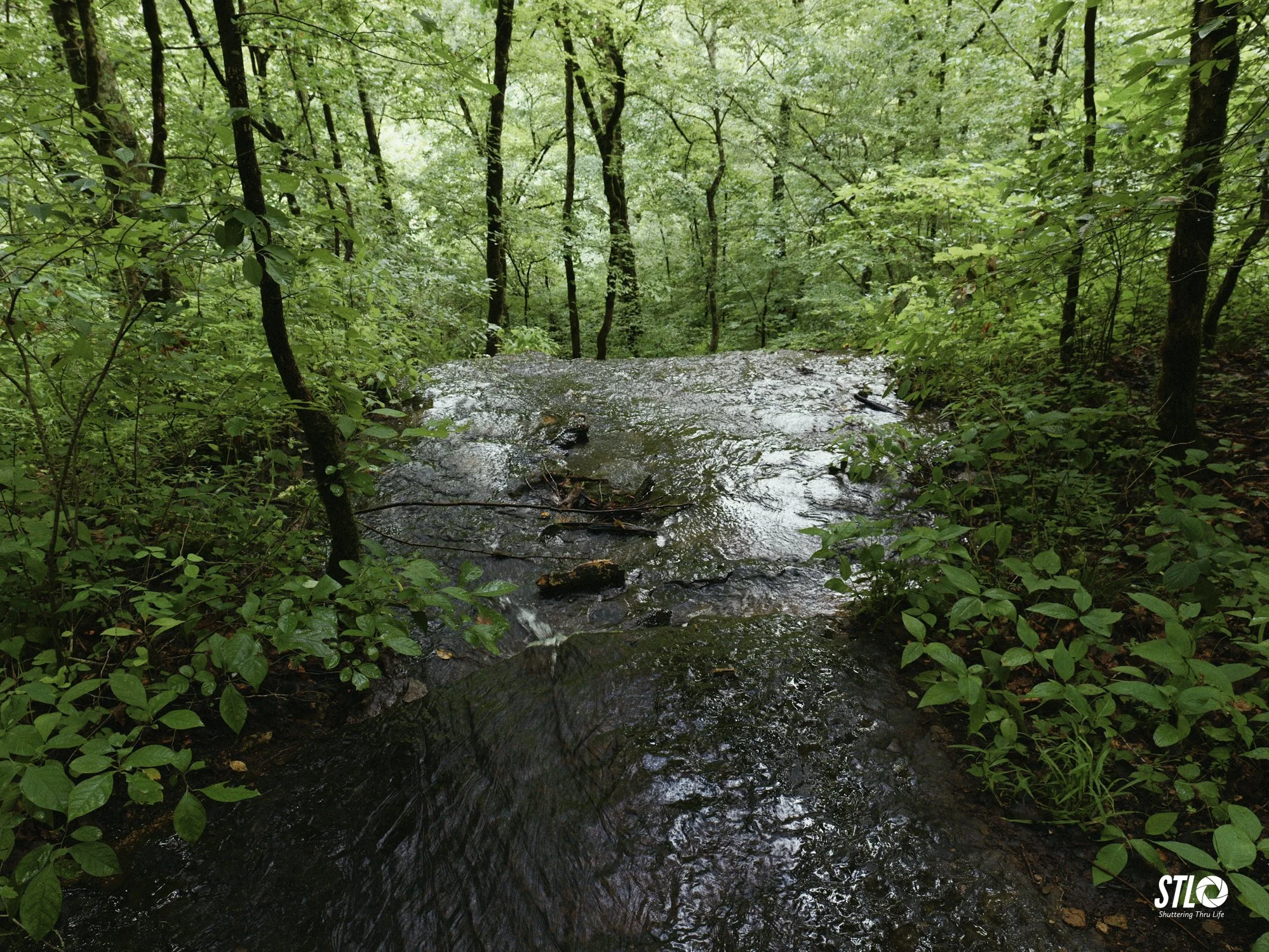 P1200315-12.jpg