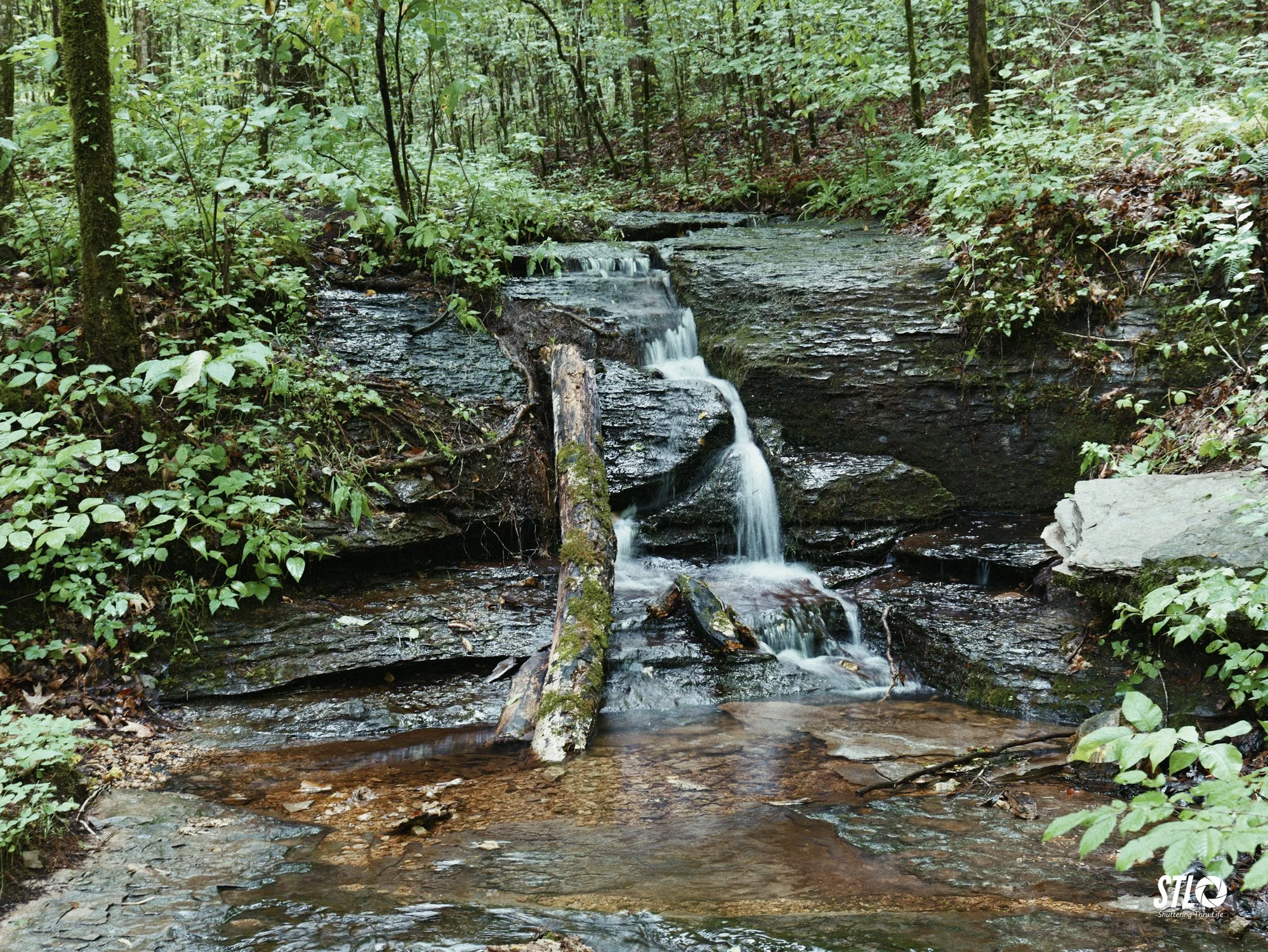 P1200318-14.jpg