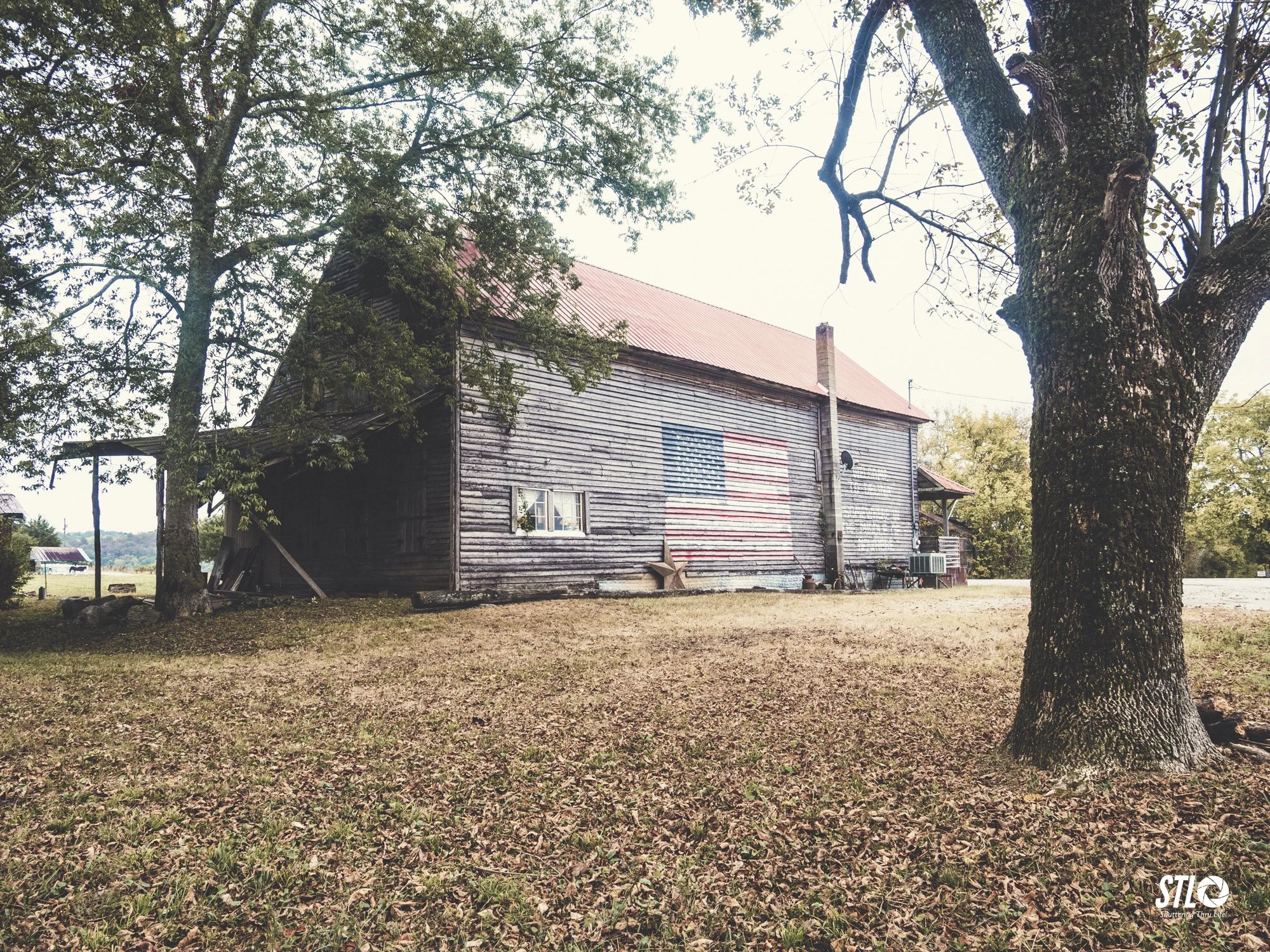 P1045215-4.jpg