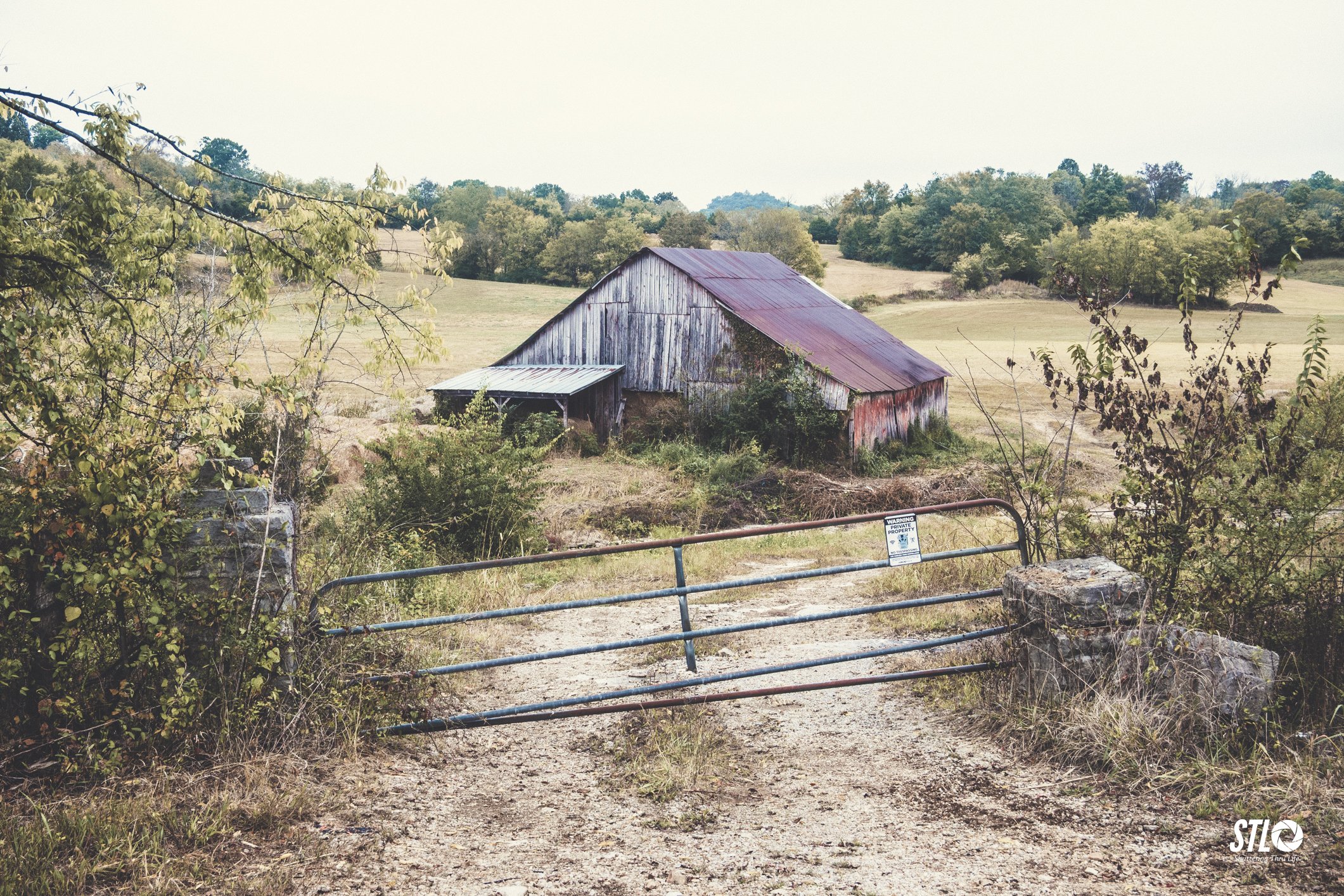 P1045239-16.jpg